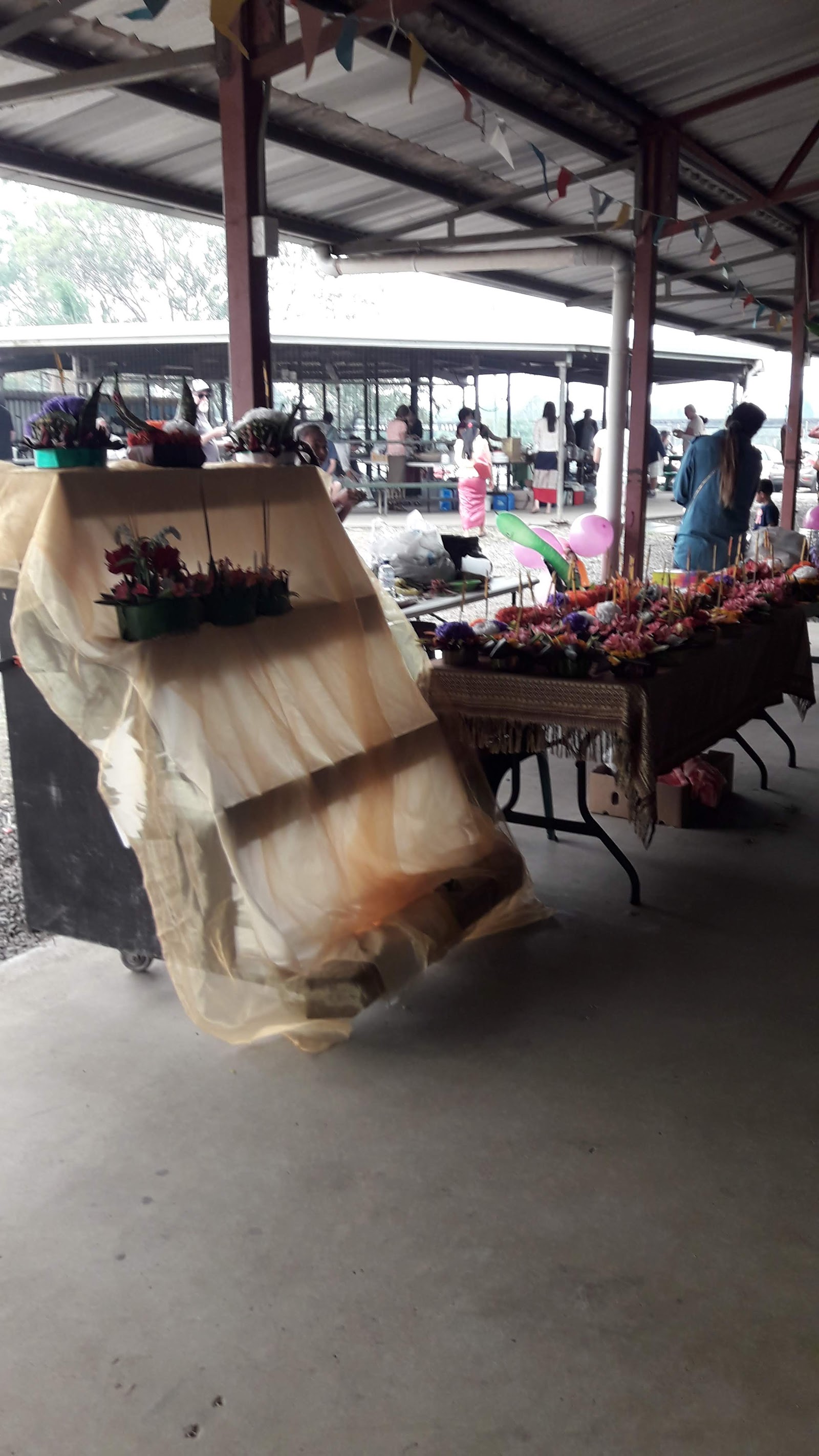 Lismore Showground 3