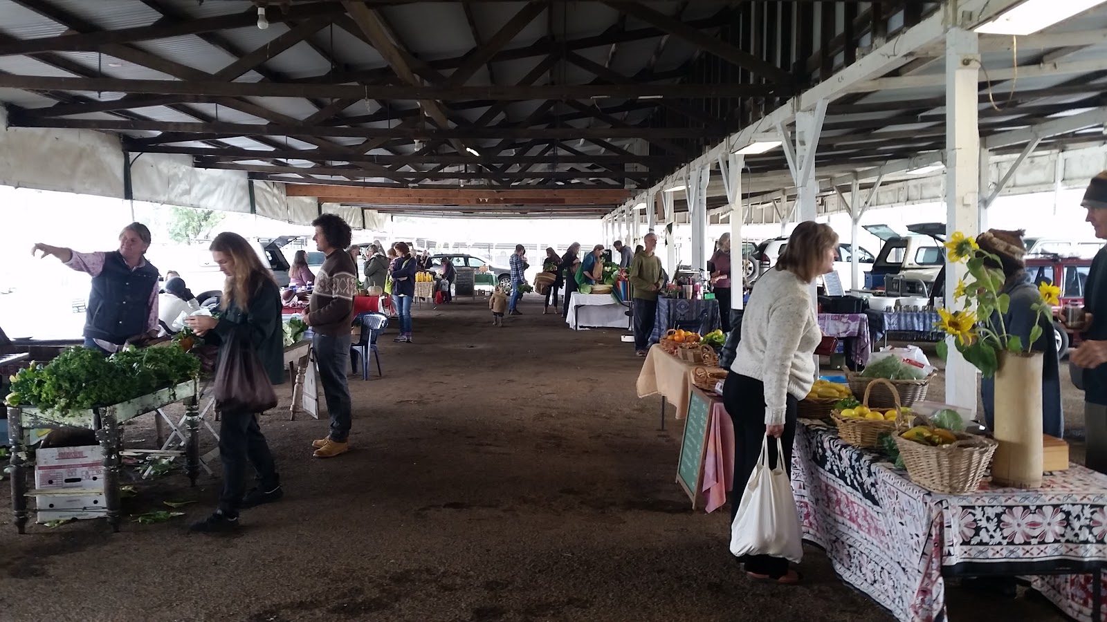 Lismore Showground 7