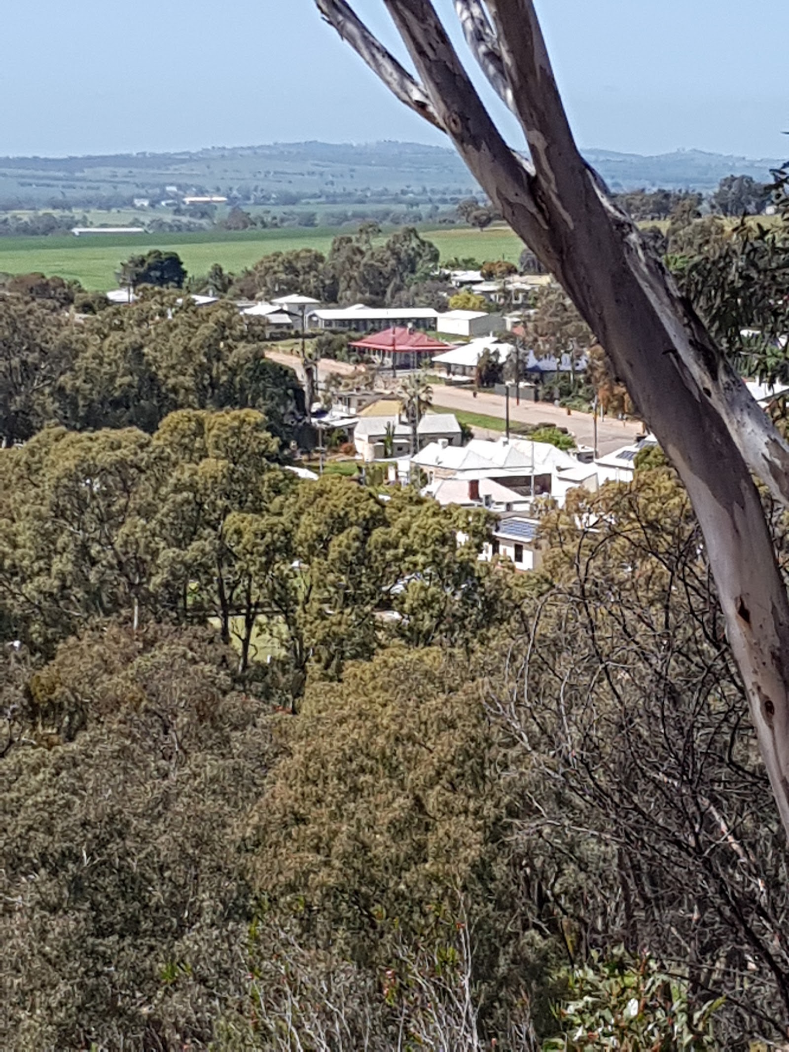 Melrose Caravan & Tourist Park 9