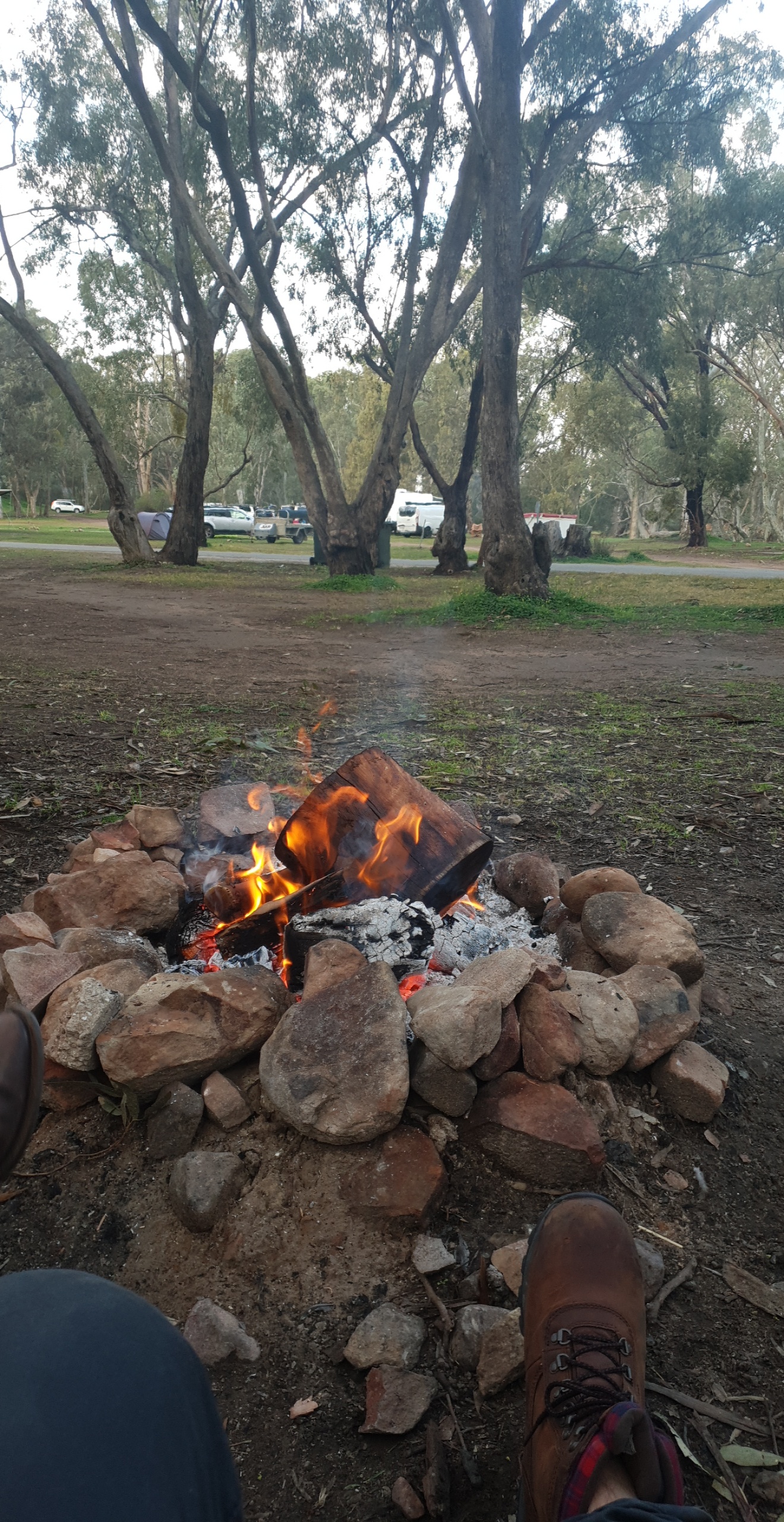 Melrose Caravan & Tourist Park 10