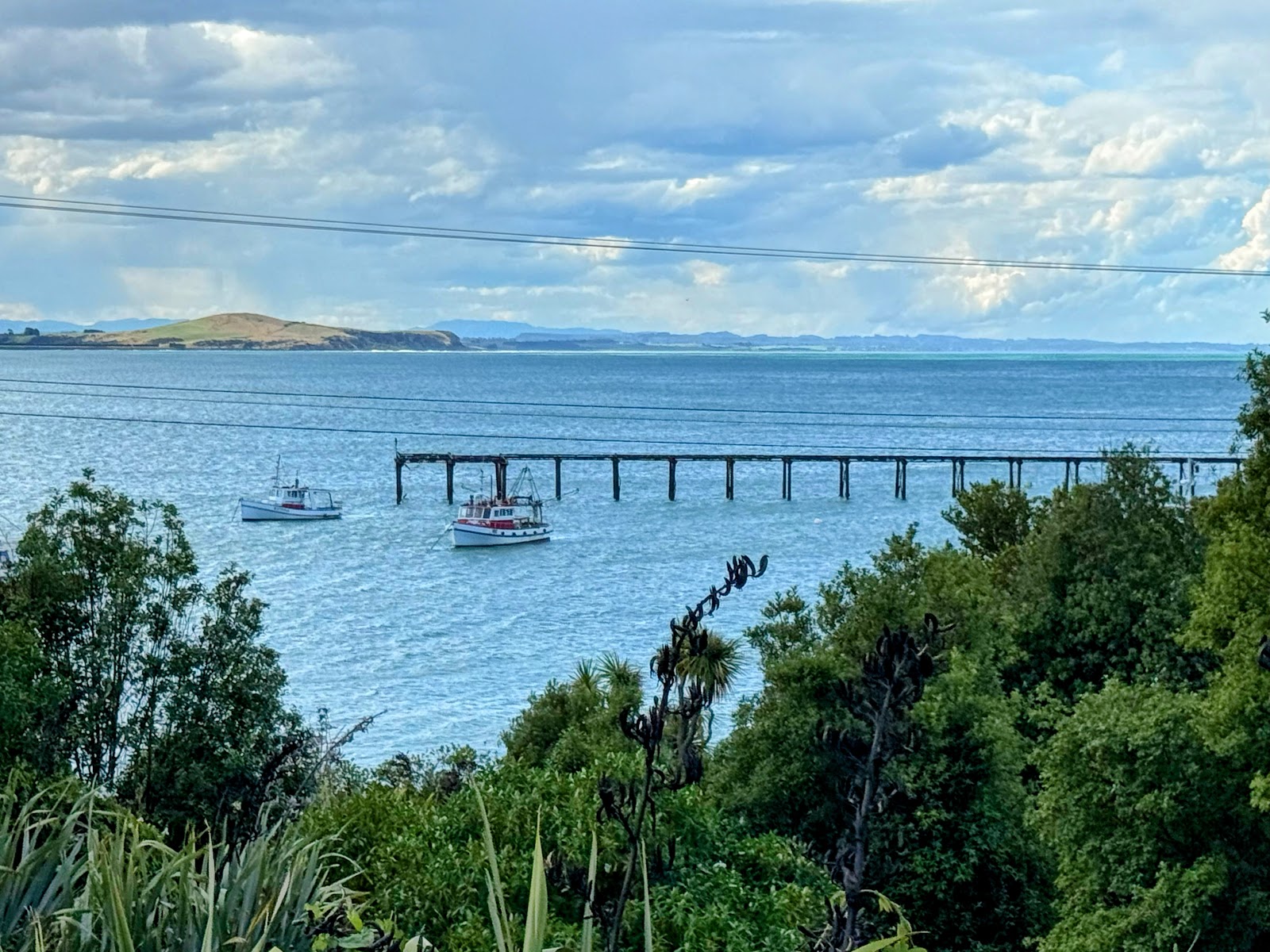 Moeraki Village Holiday Park 6