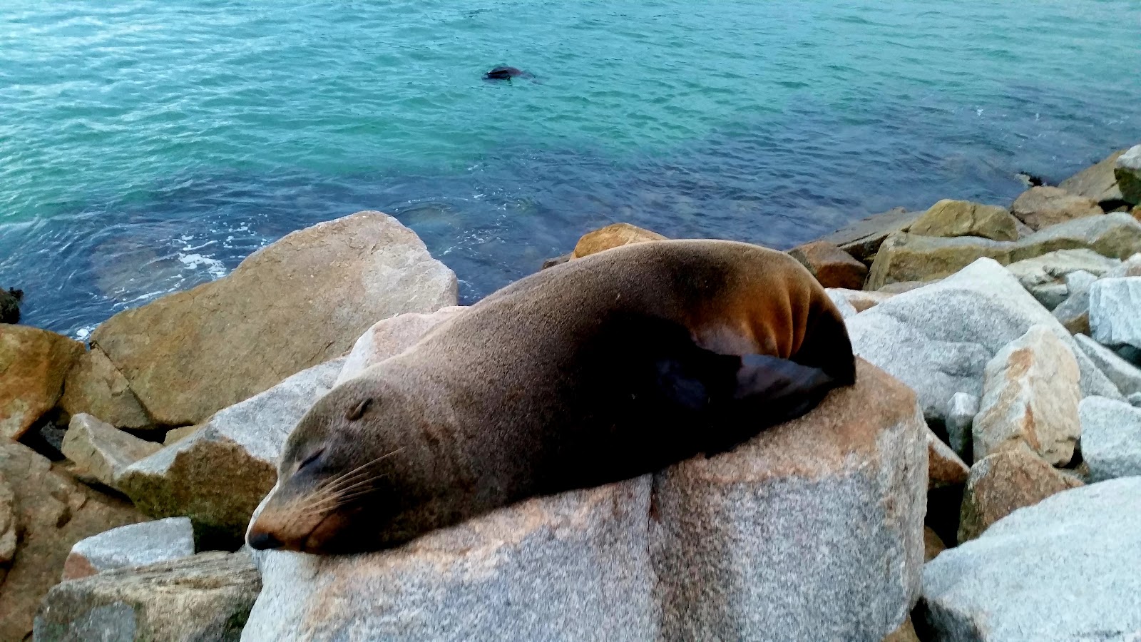Narooma 2