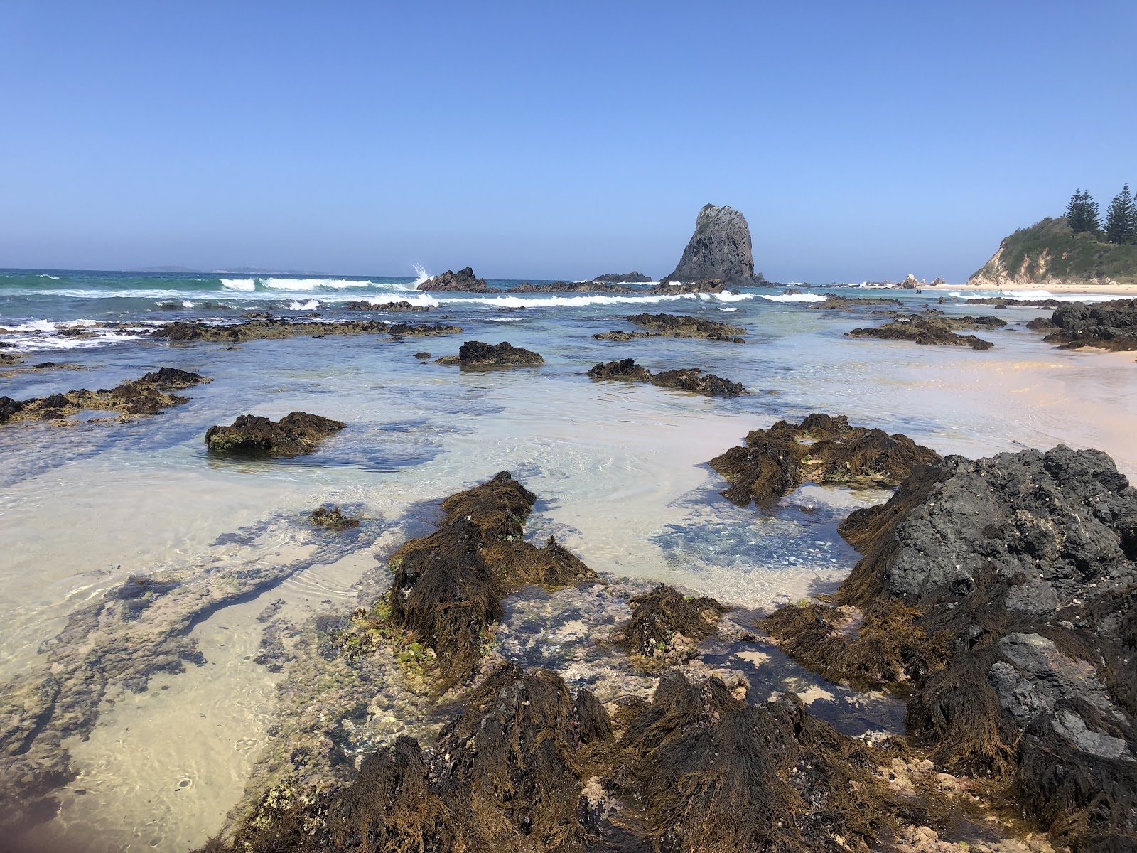 Narooma 8