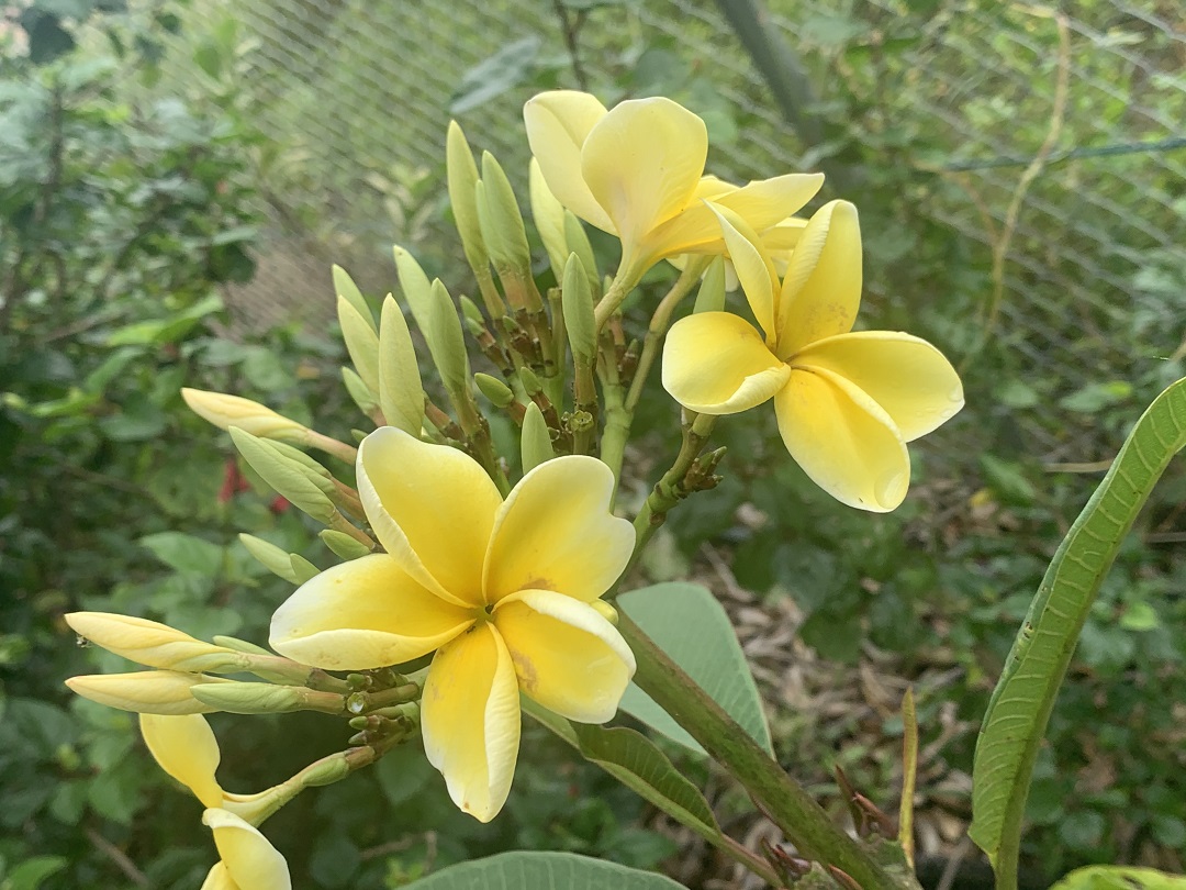 Noonamah Tourist Park 7