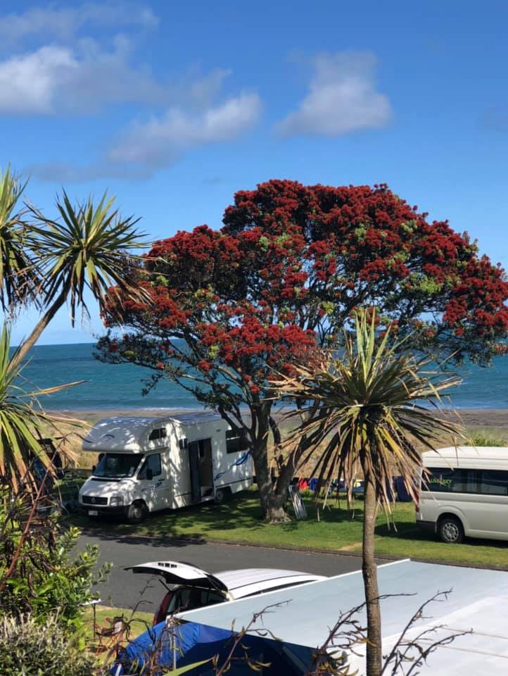 Oakura Beach Holiday Park 4