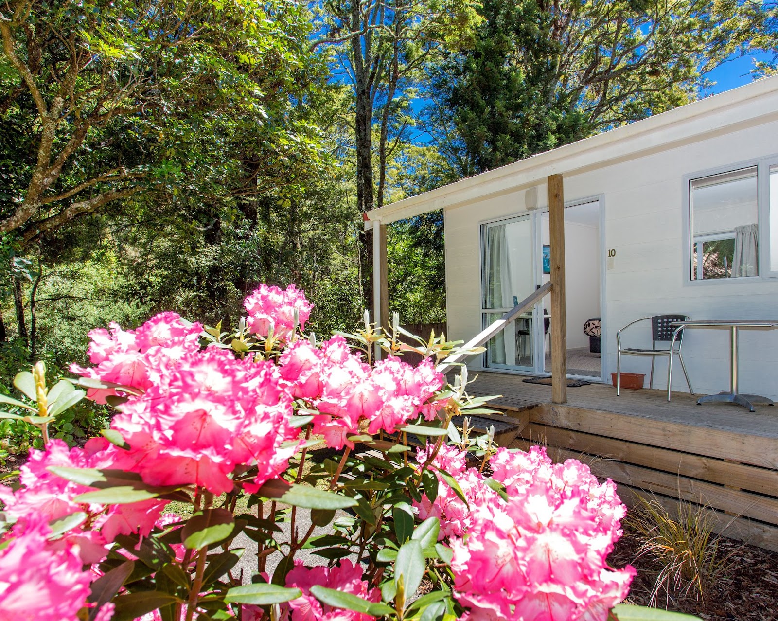 Ohakune TOP 10 Holiday Park 5