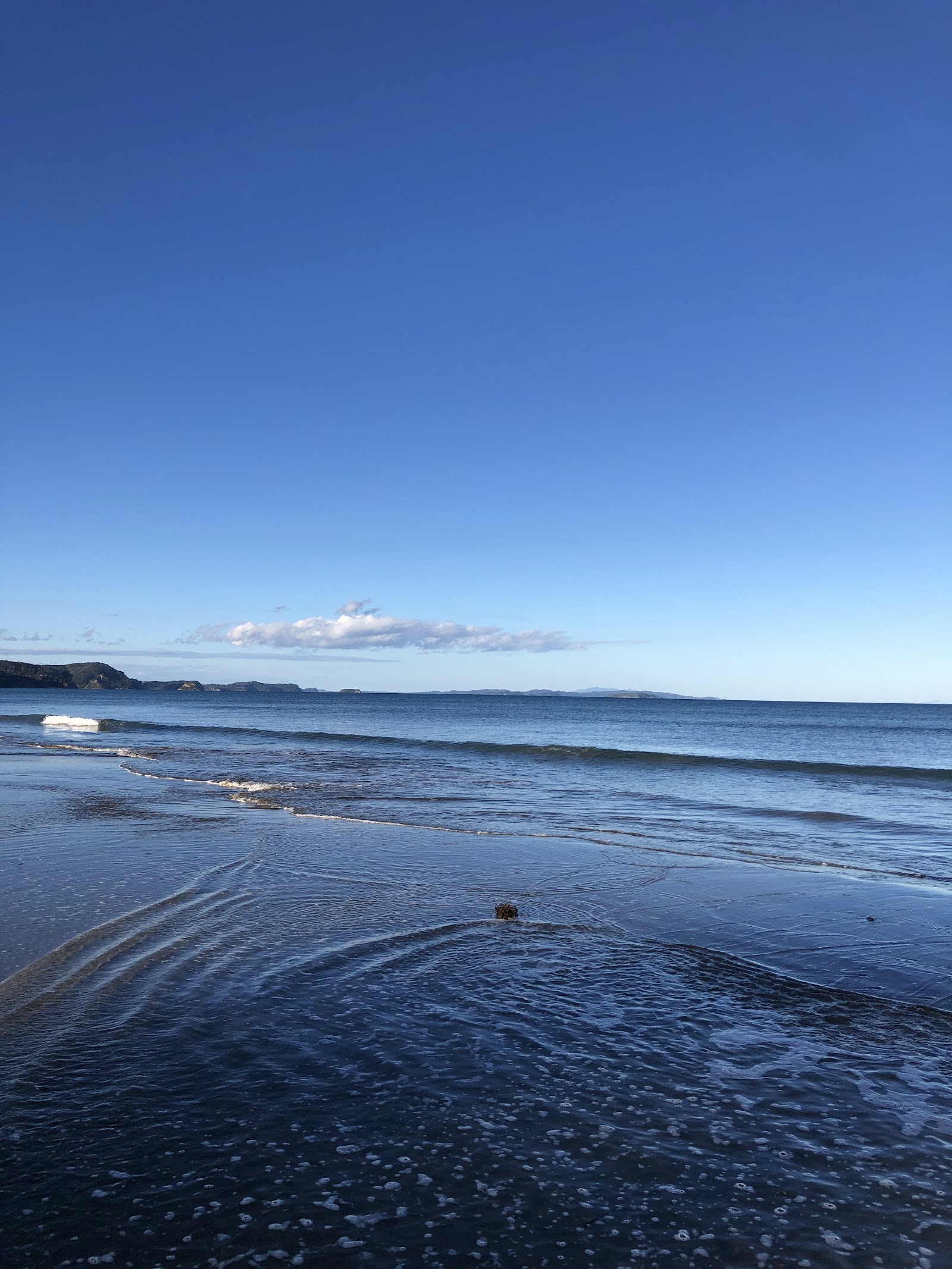 Orewa Beach Holiday Park 10