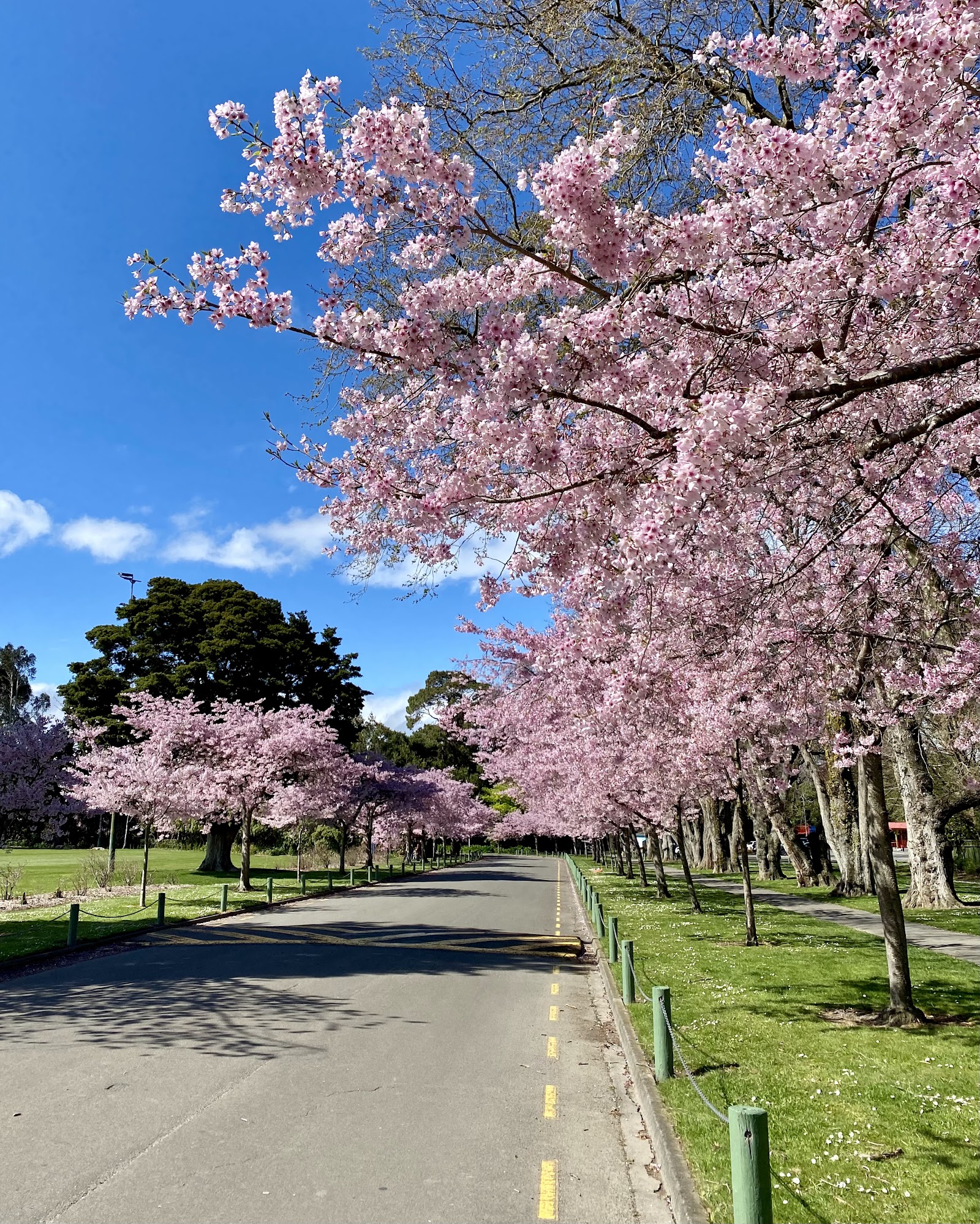 Palmerston North Holiday Park 5