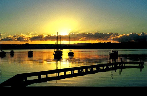 Paradise Palms Caravan Park Carey Bay 5