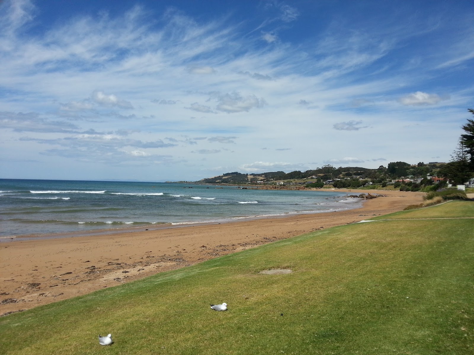 Penguin Caravan Park 3