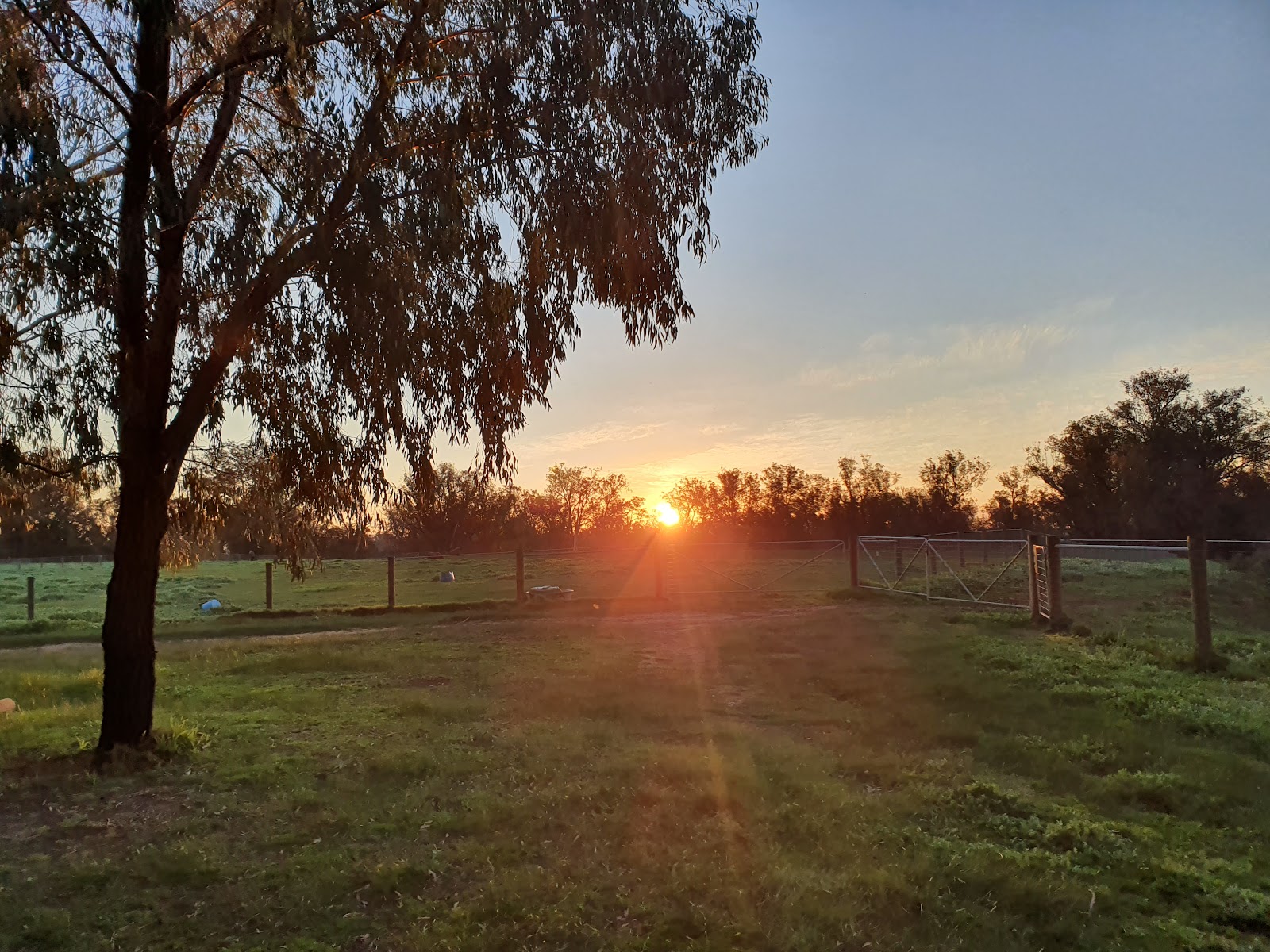 Pinjarrah Holiday Park 6