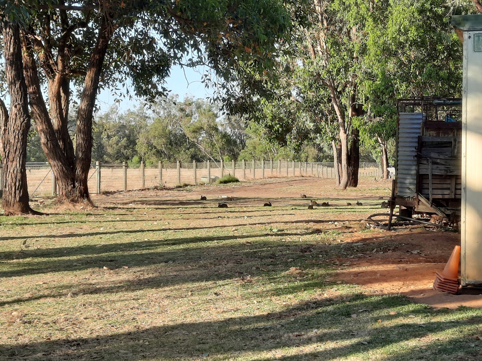 Pinjarrah Holiday Park 8