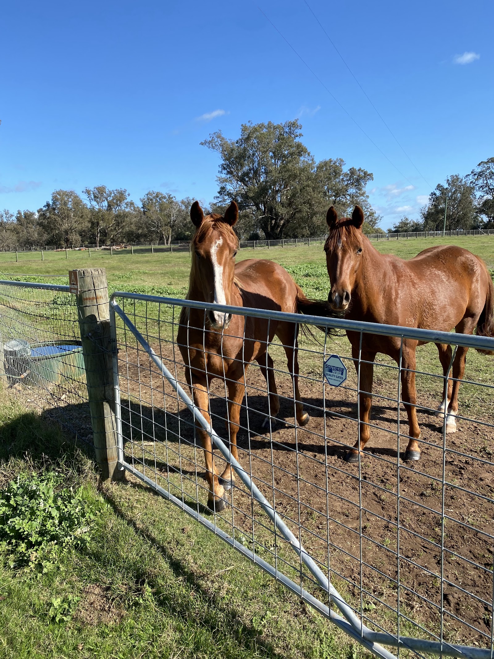 Pinjarrah Holiday Park 10
