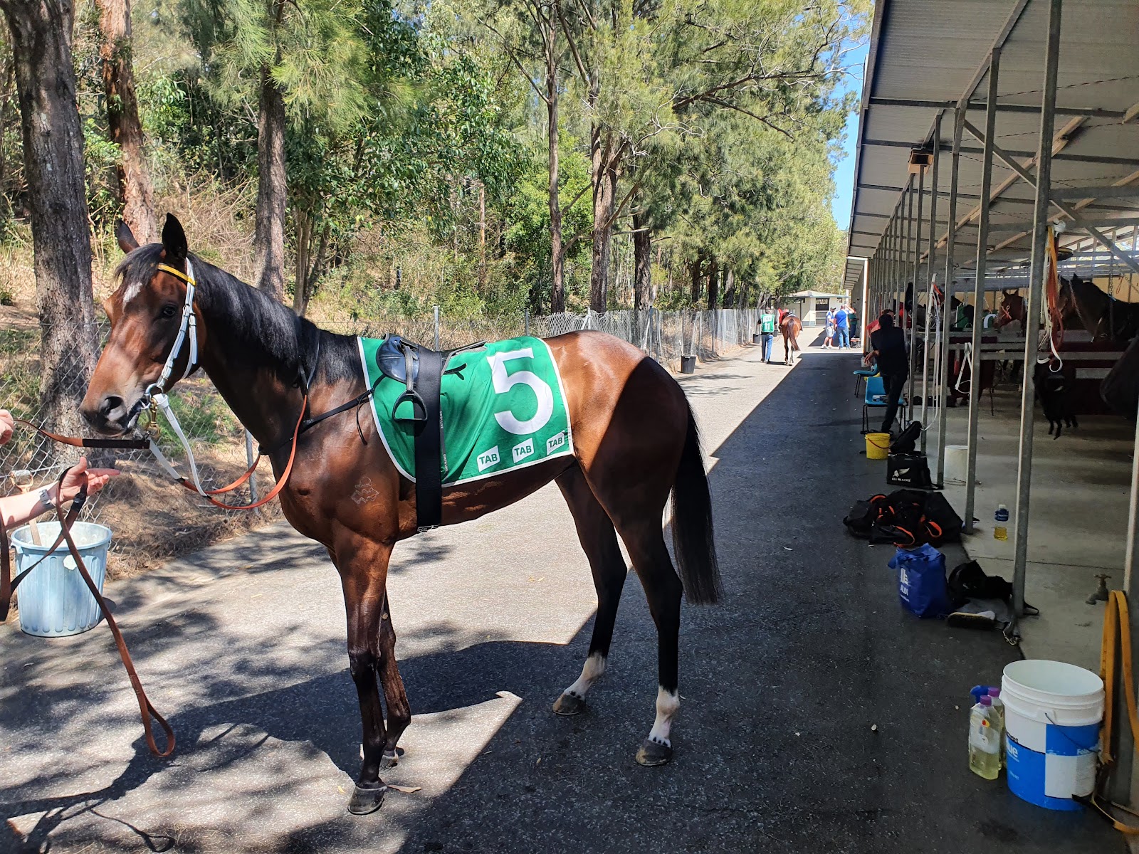Port Macquarie Racecourse 7