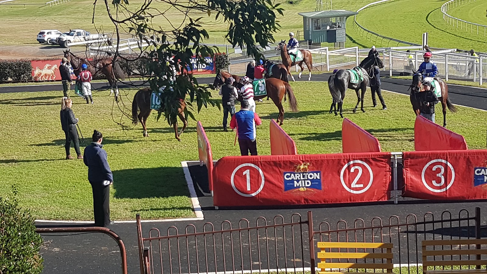Port Macquarie Racecourse 8