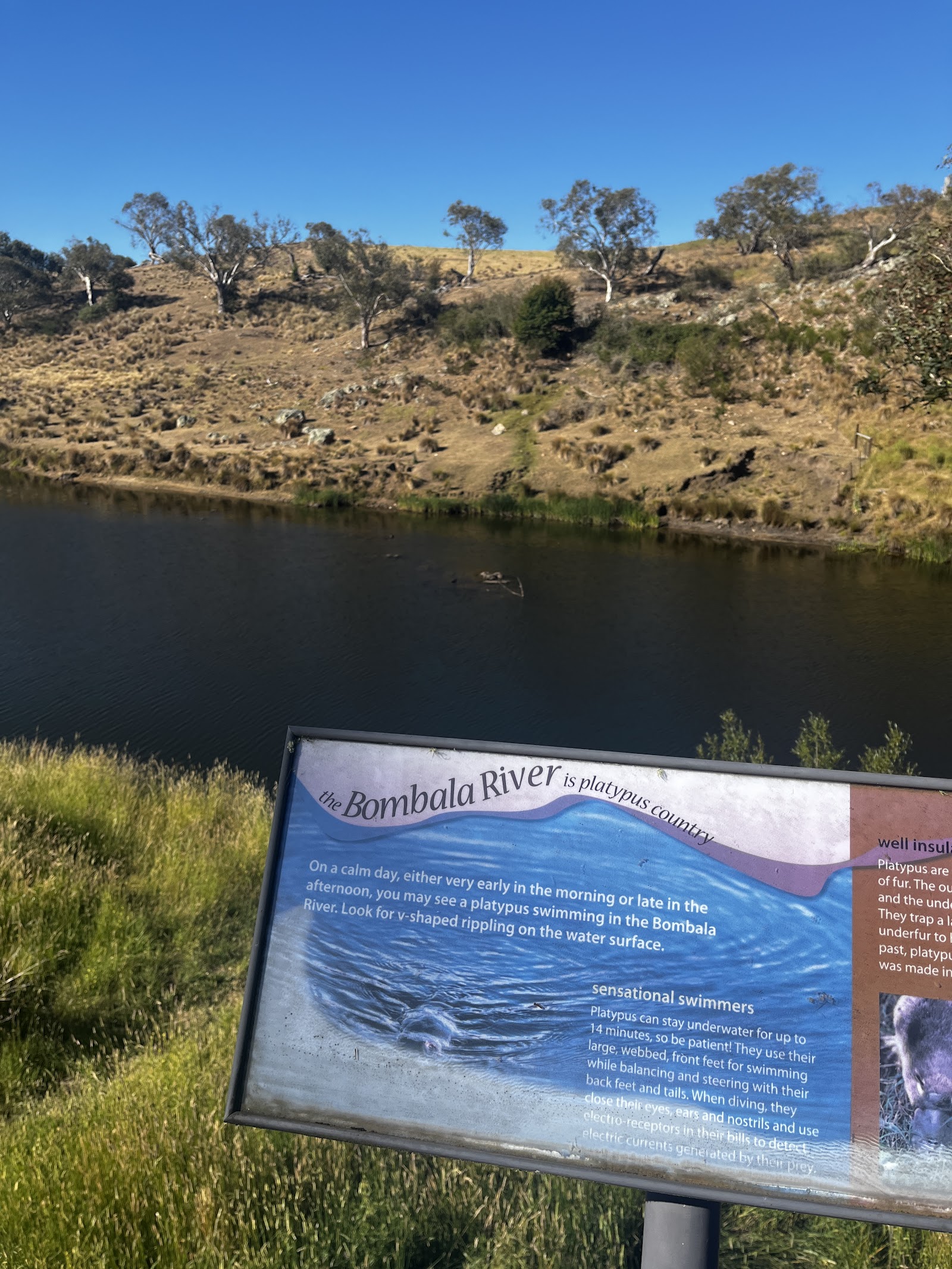 Pump House Reserve 3