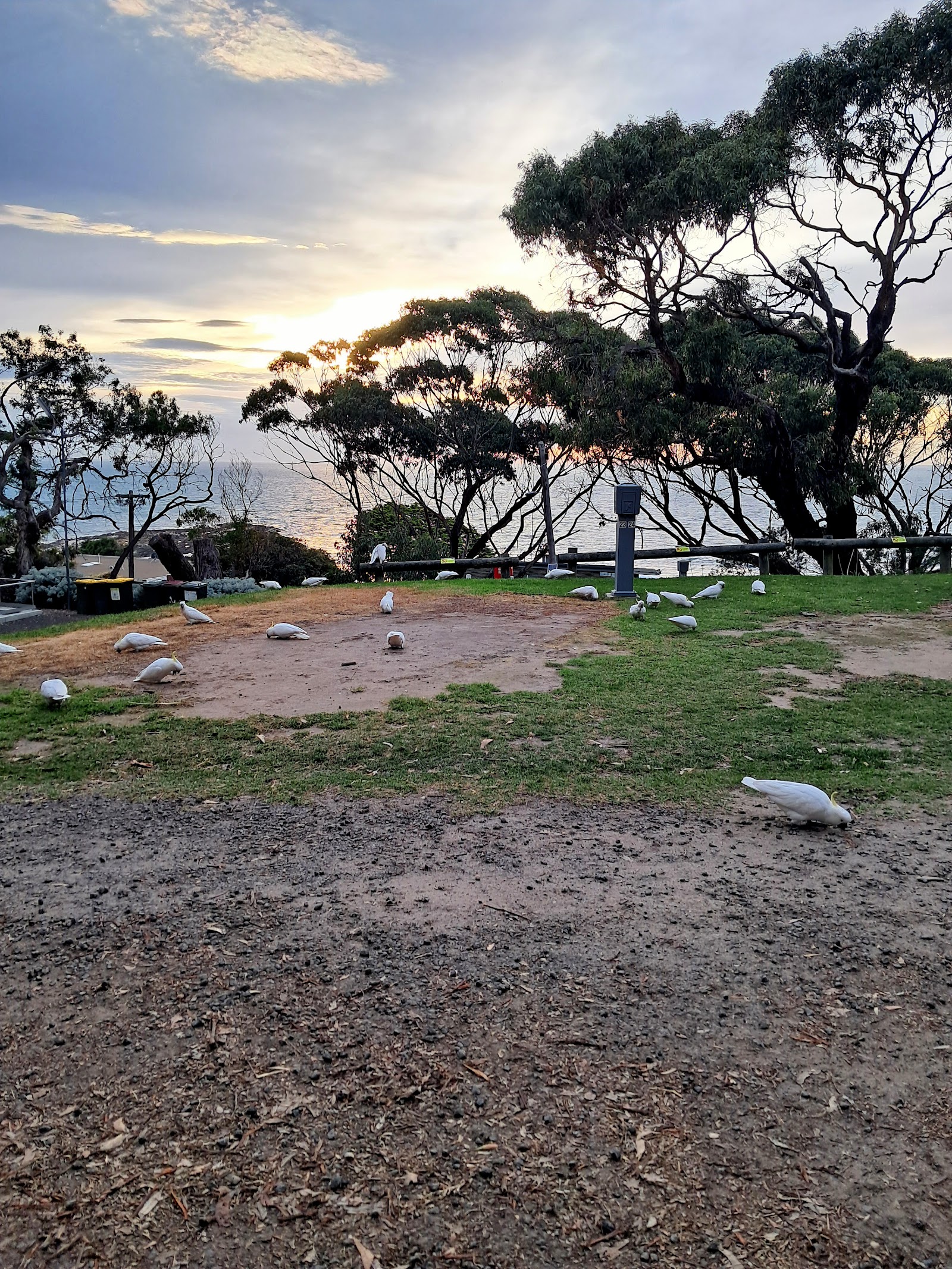 Queens Park Caravan Park 3