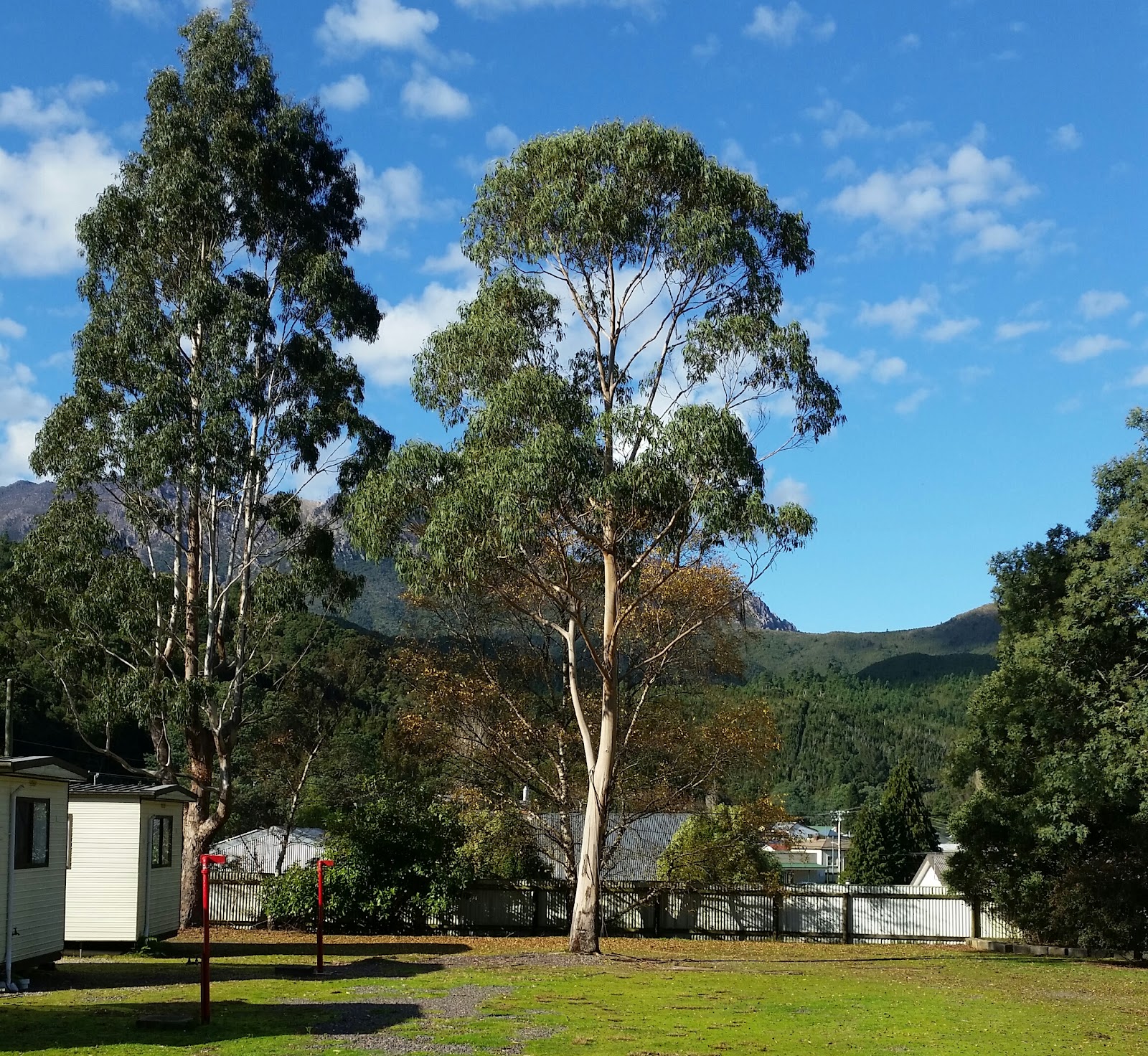 Queenstown Cabin & Tourist Park 4