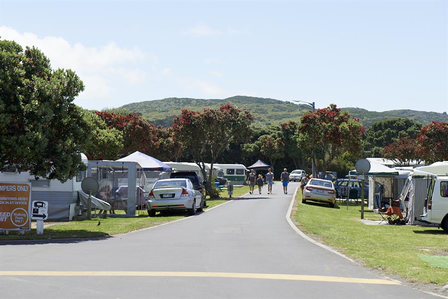 Raglan Holiday Park 6