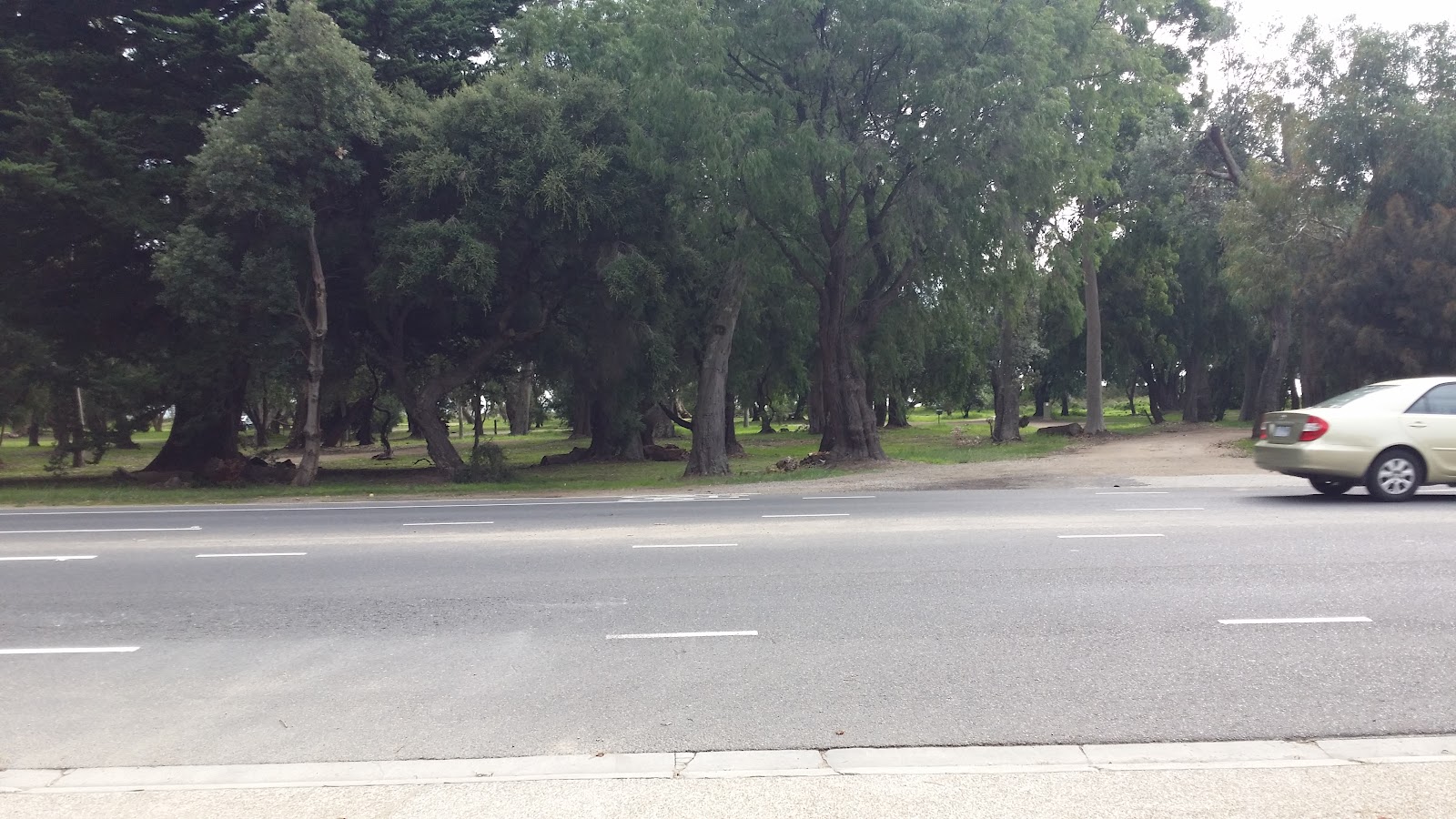 Rosebud Model Caravan Park 2