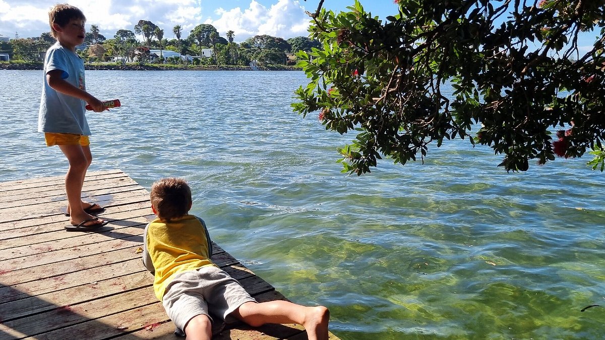 Ruakaka Beach Holiday Park 5