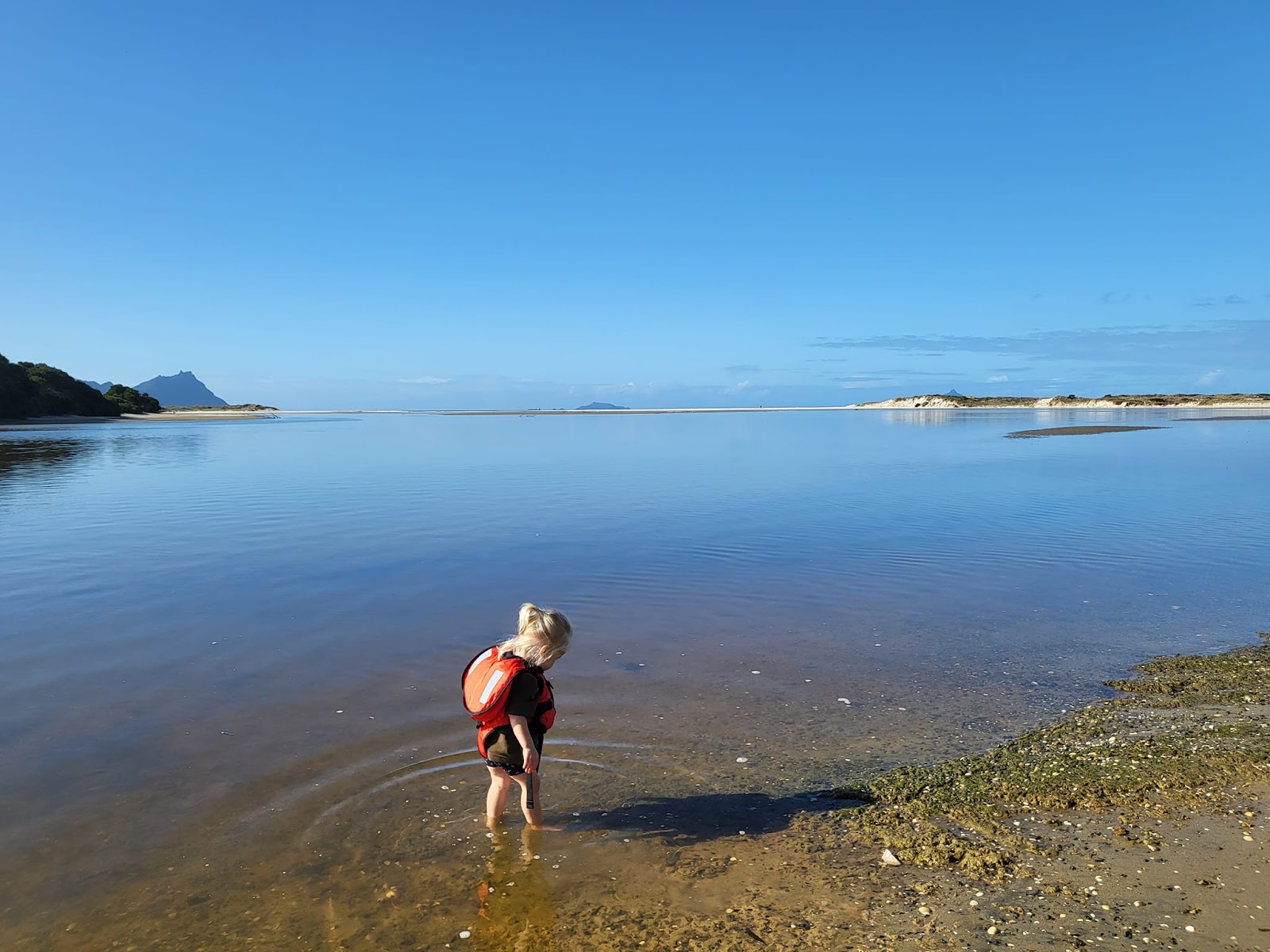 Ruakaka Beach Holiday Park 9