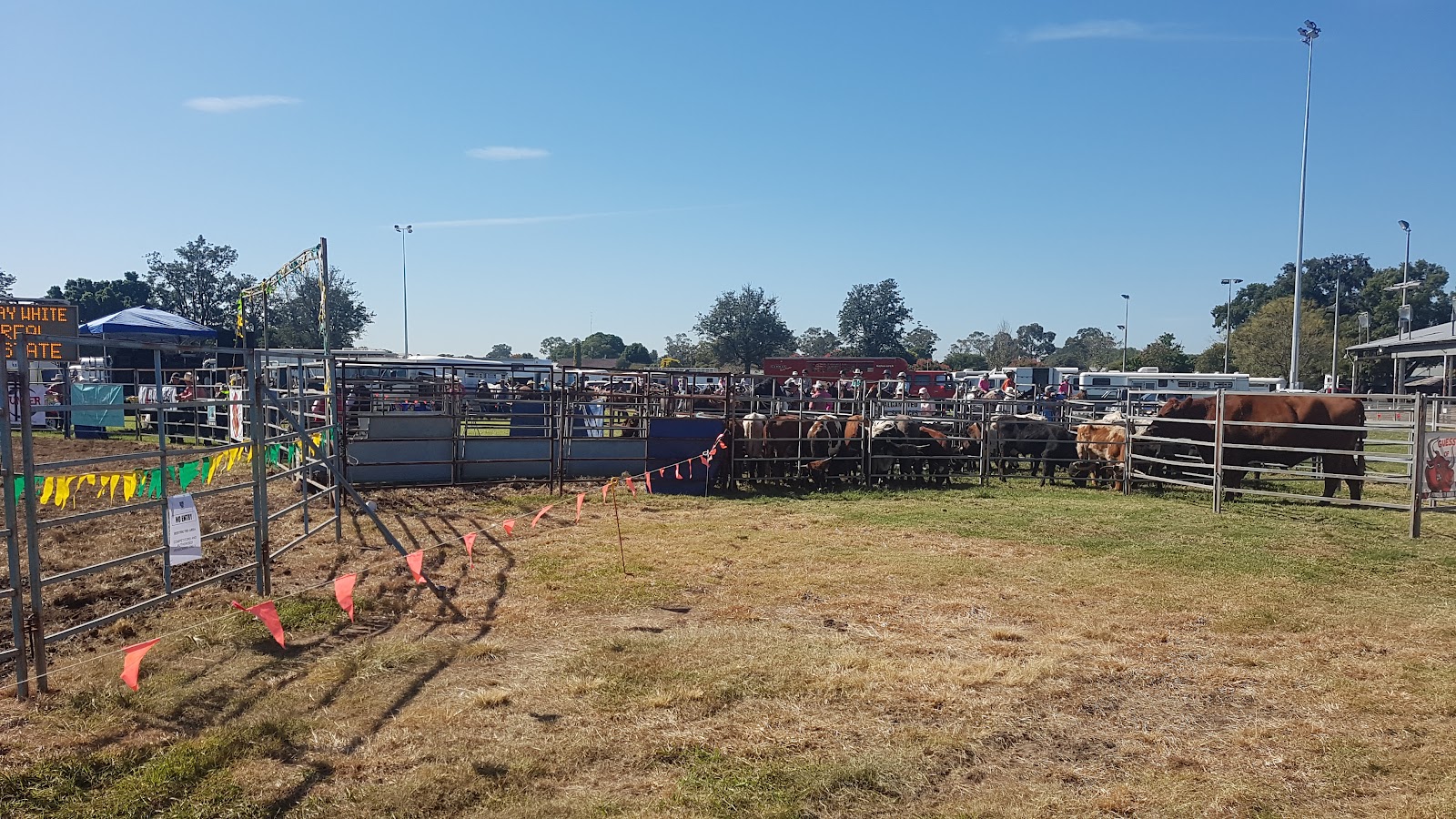 Singleton Showground 7