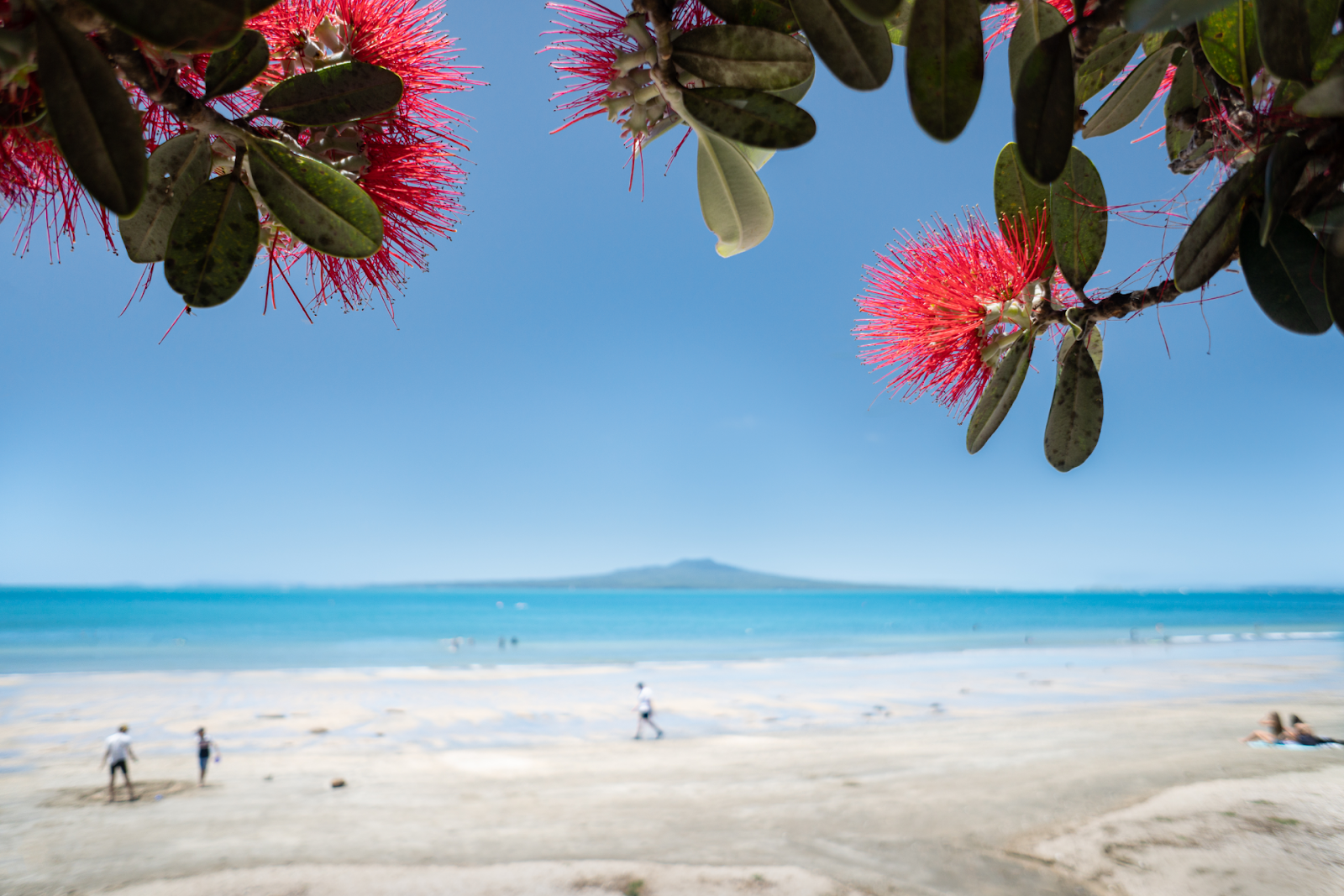Takapuna Beach RV Park 5