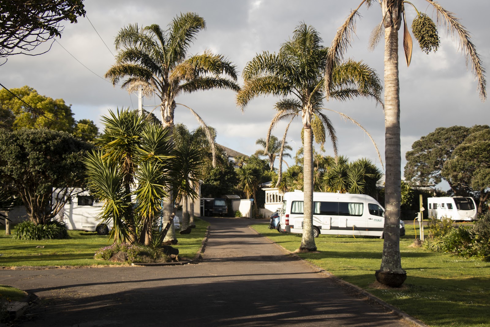 Takapuna Beach RV Park 7