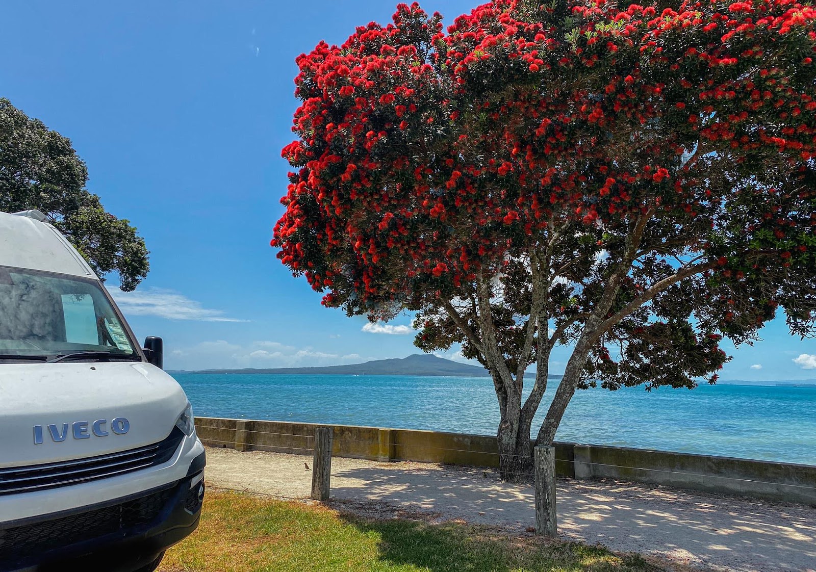 Takapuna Beach RV Park 9