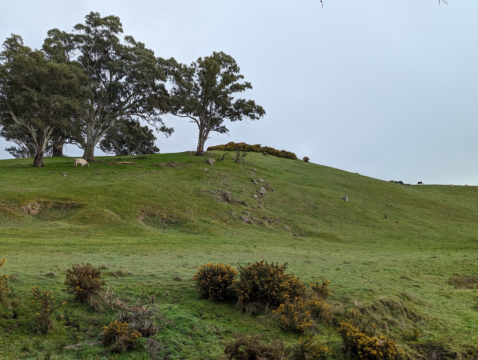 Talunga Park Caravan Park 5