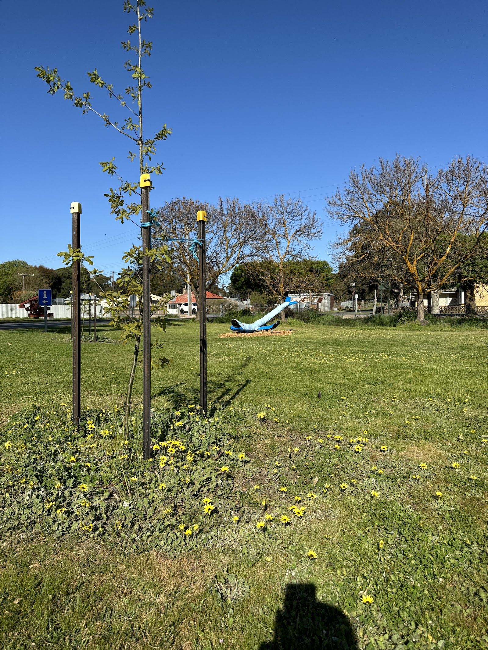 Talunga Park Caravan Park 6
