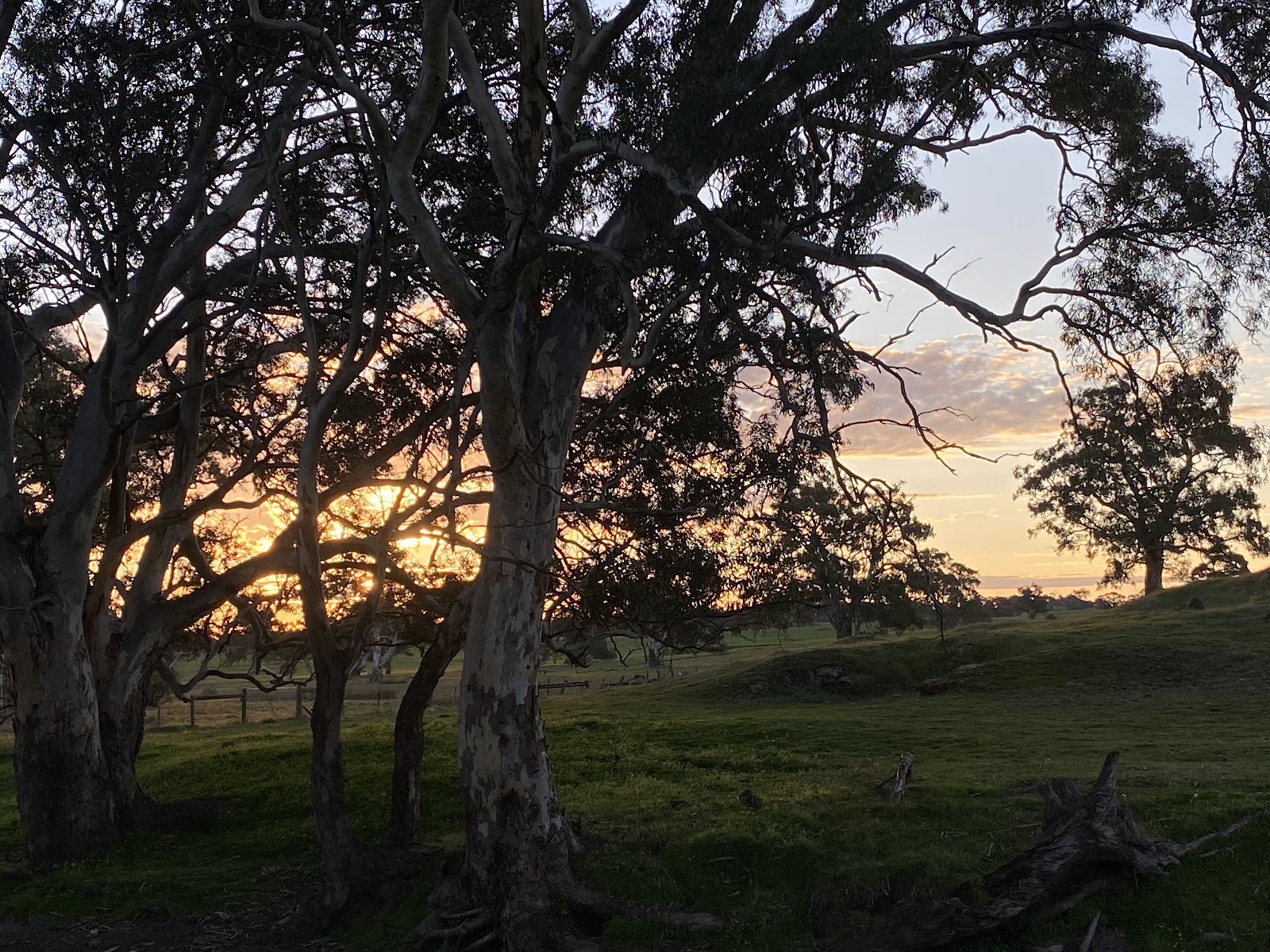 Talunga Park Caravan Park 9