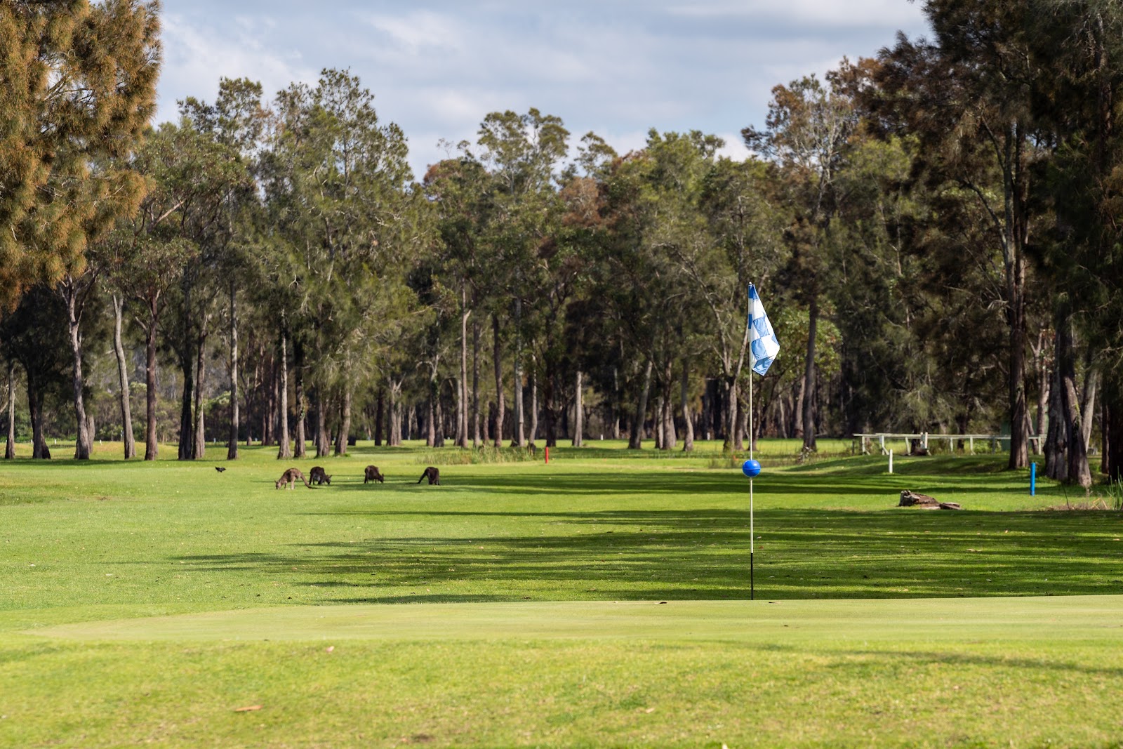 Tasman Holiday Parks - Myola 8