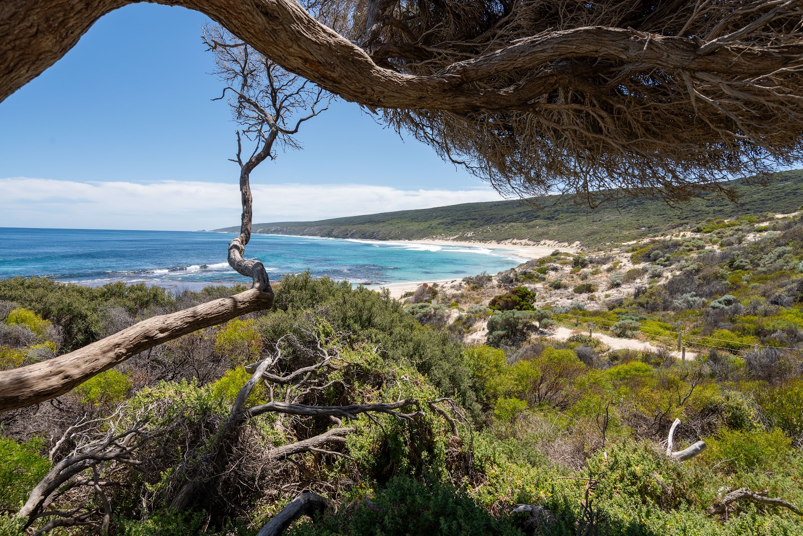 Tasman Holiday Parks - Yallingup Beach 10