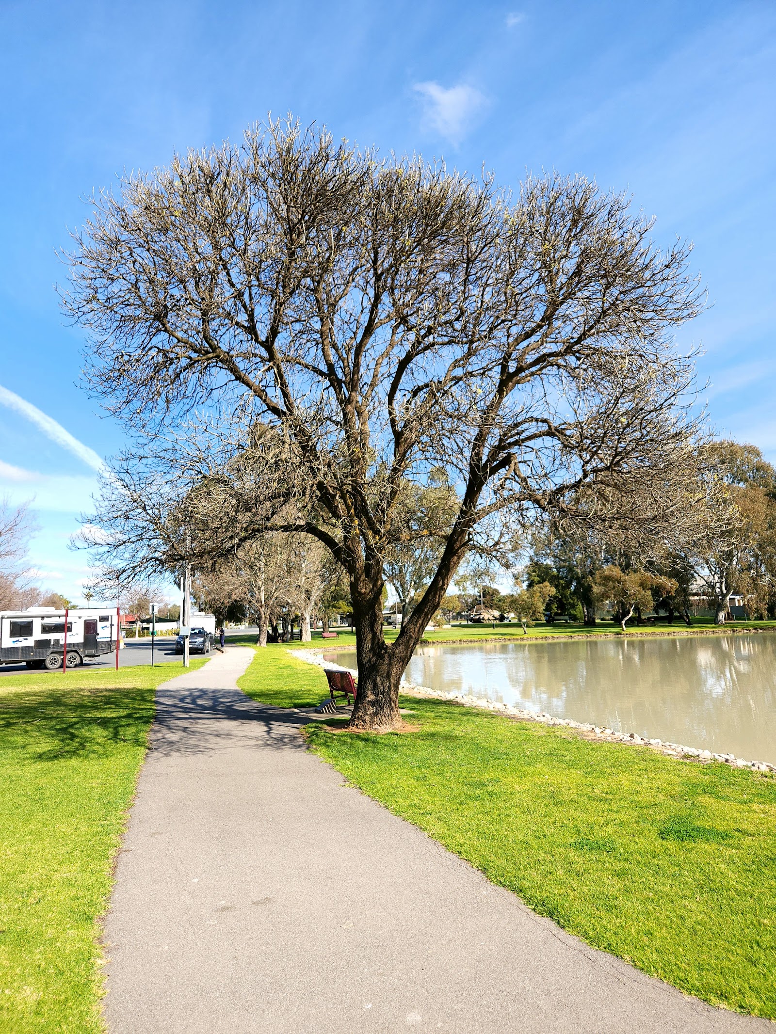 Trigelly Memorial Park 9