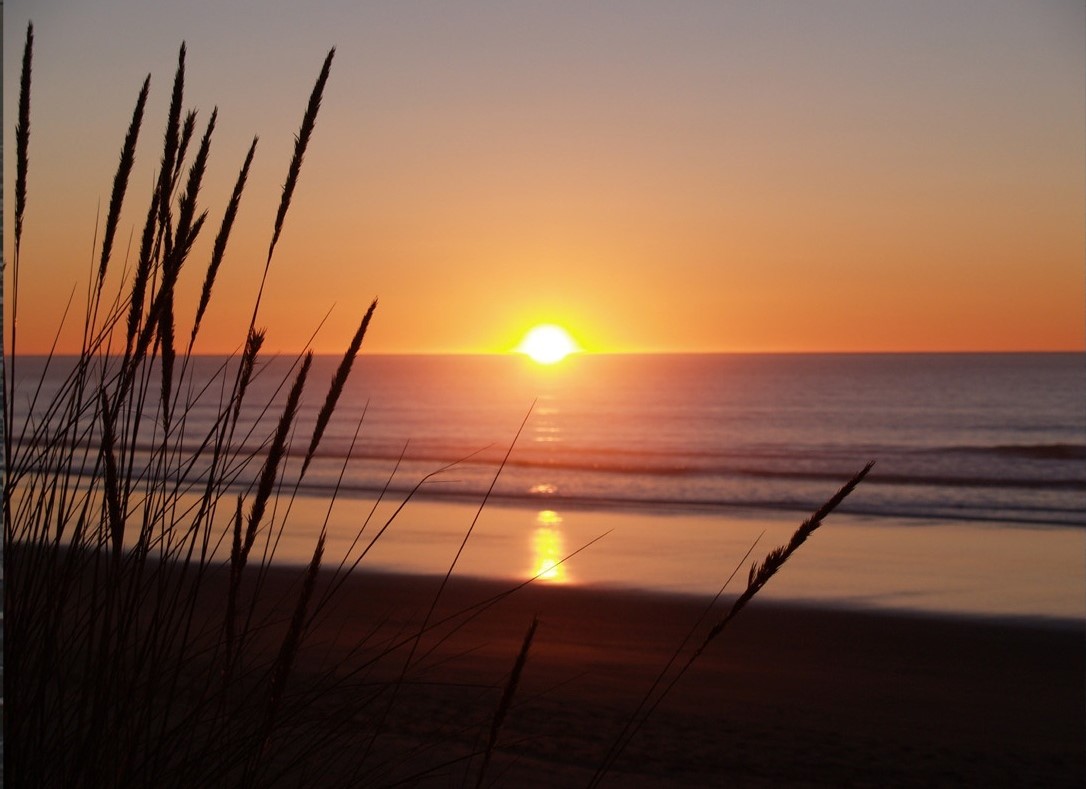 Waikuku Beach Holiday Park 8
