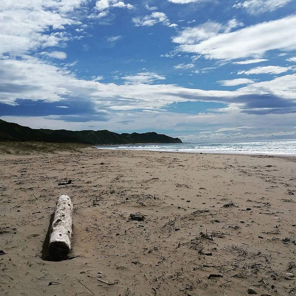 Waipatiki Beach Holiday Park, Napier, Hawkes Bay 5