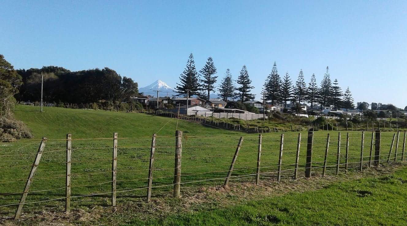 Waitara Holiday Park 4