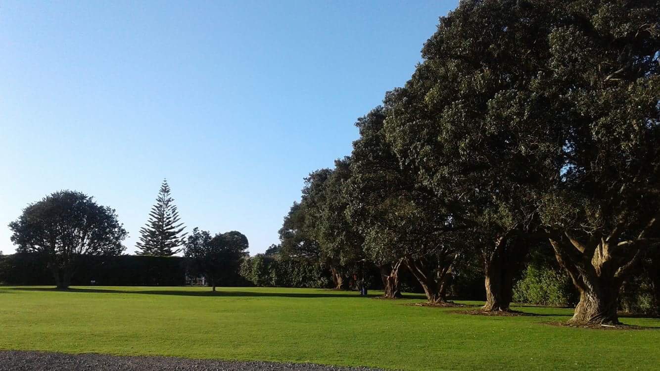 Waitara Holiday Park 6