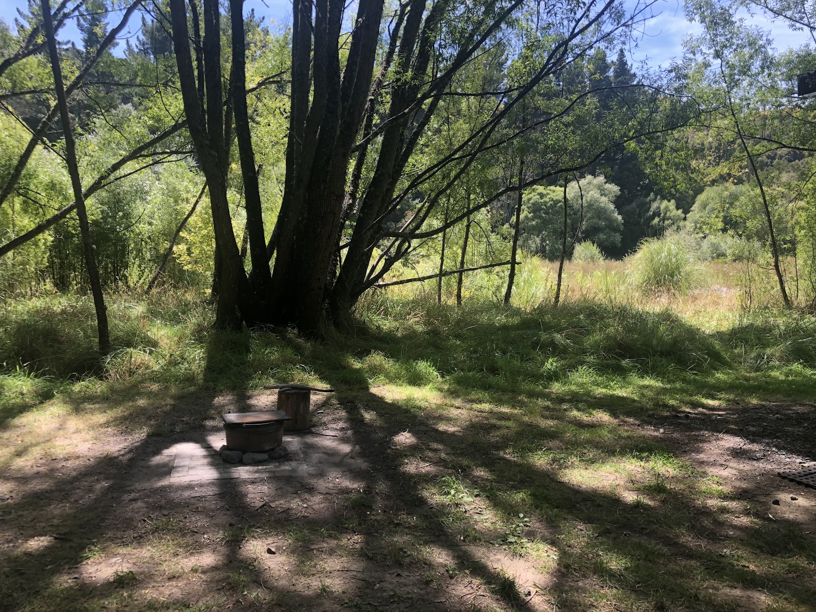 Waiwhenua Farm Stay and River Side Park 7