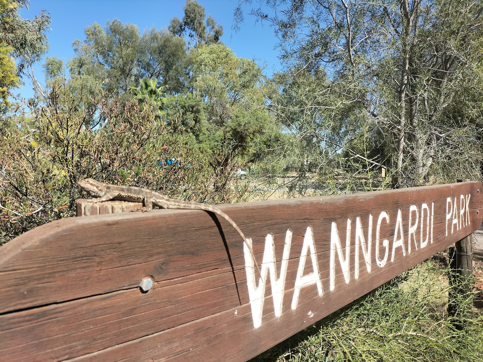 Wanngardi Caravan Park 8