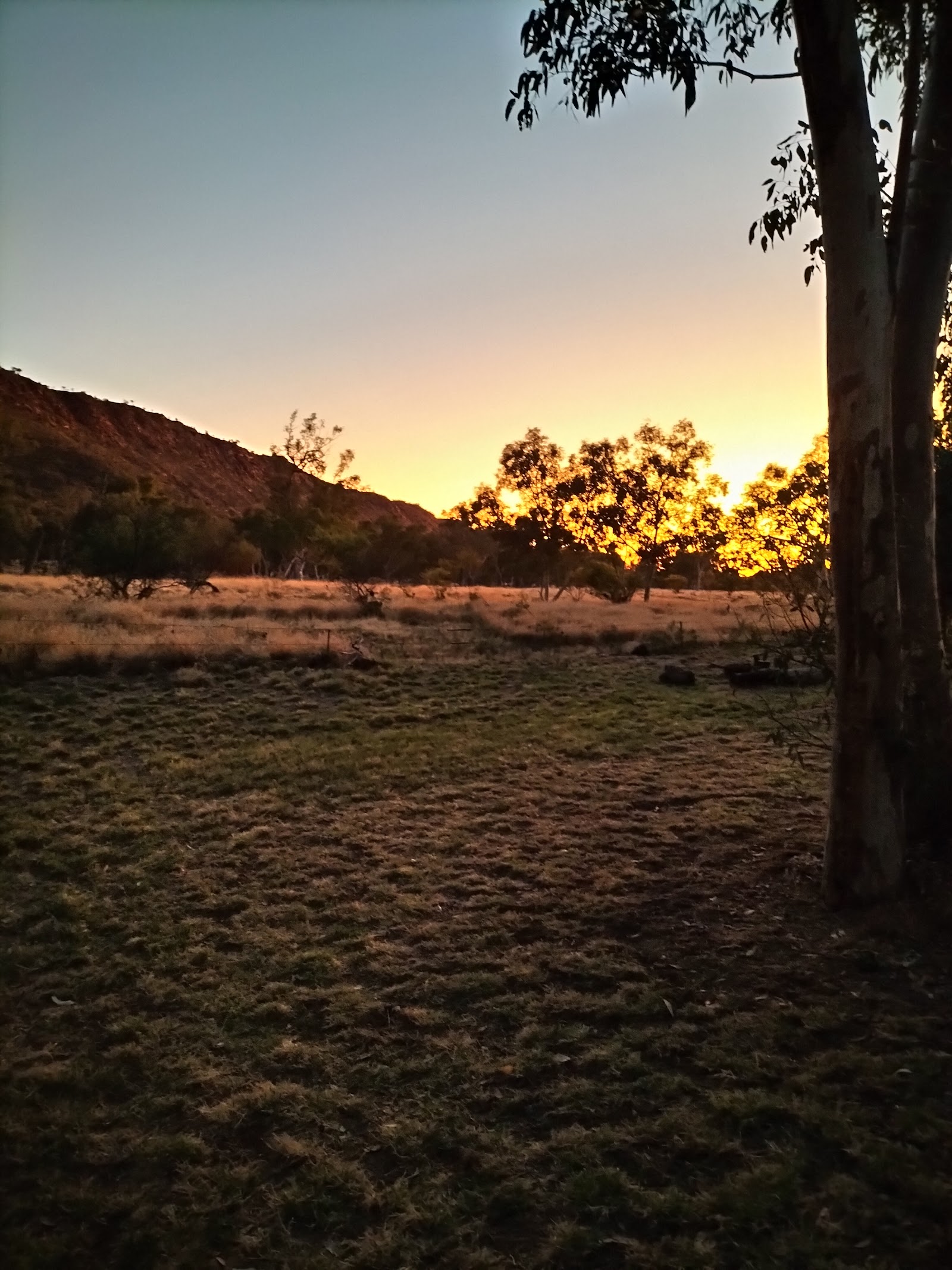Wanngardi Caravan Park 9