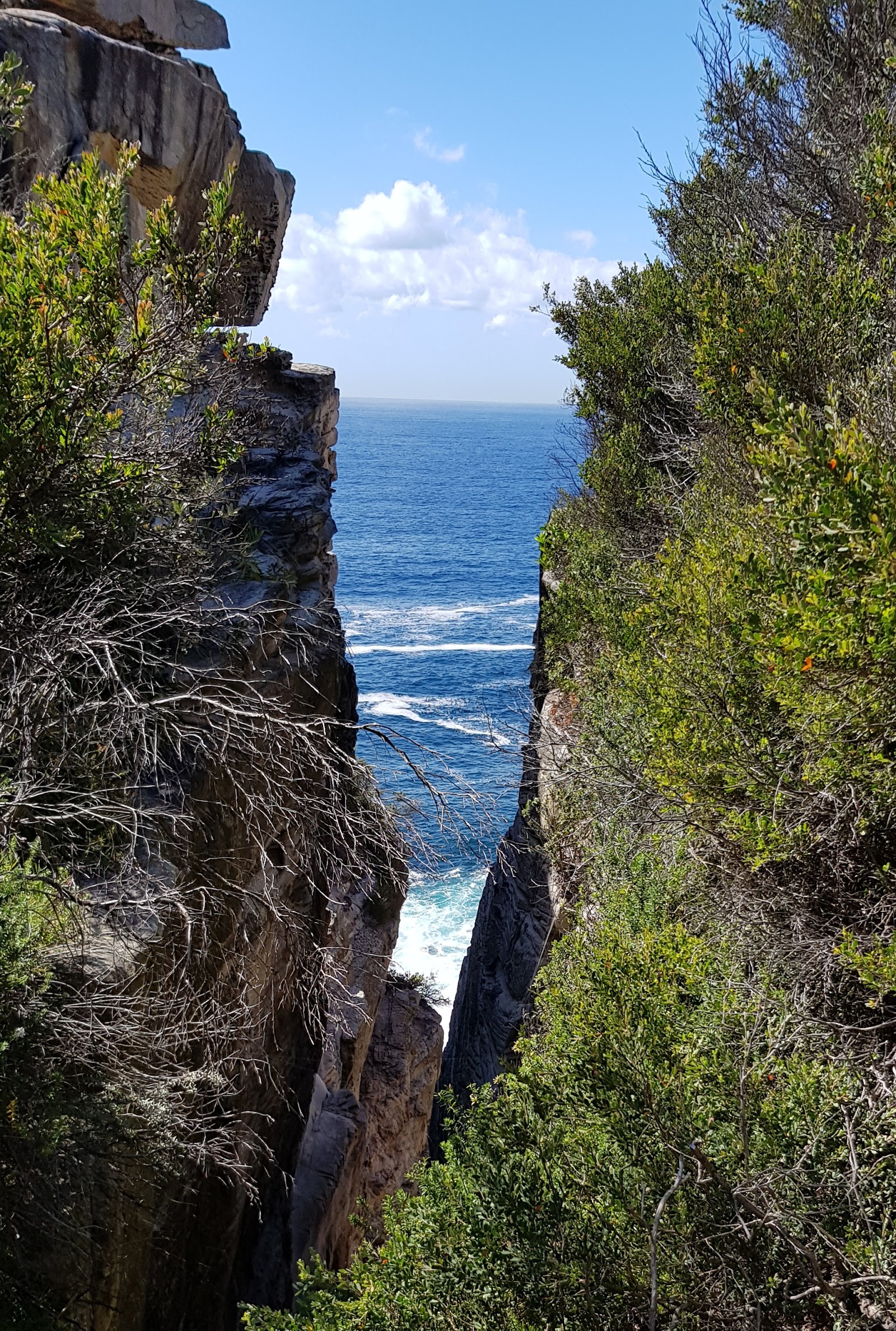 Watsons Bay Tourist Park 9
