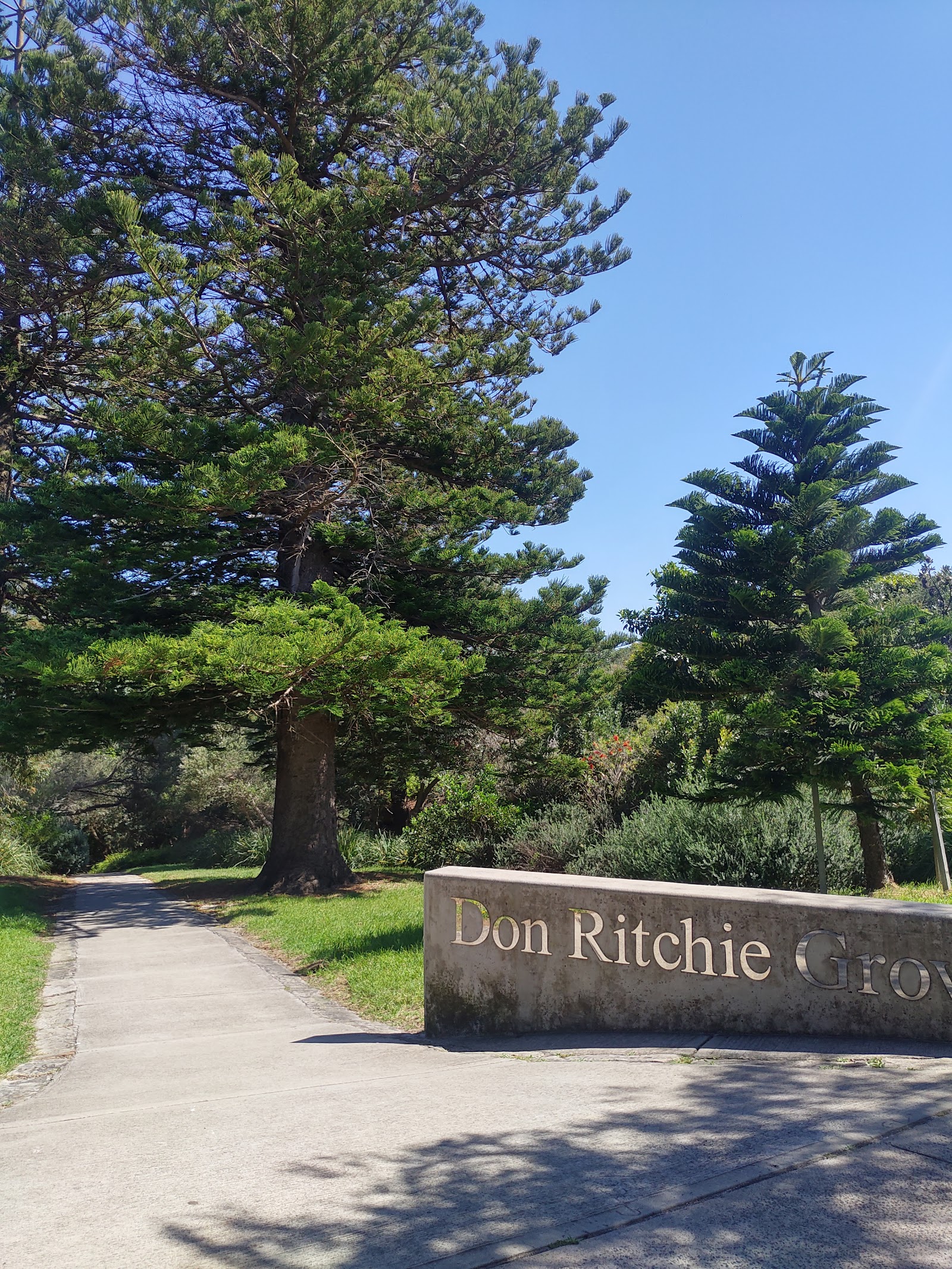 Watsons Bay Tourist Park 10