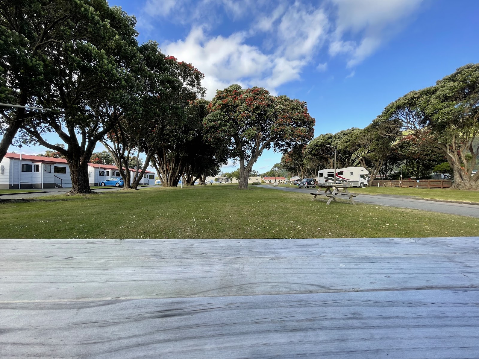 Wellington TOP 10 Holiday Park 4