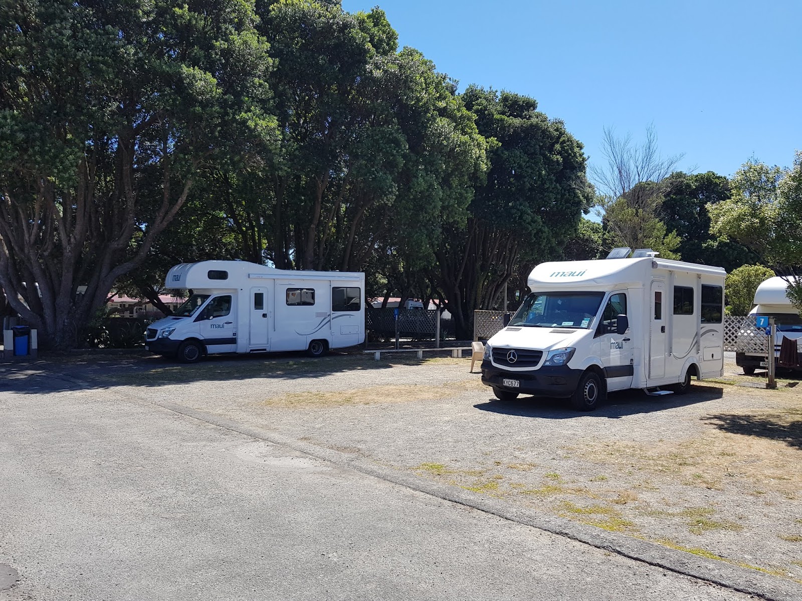 Wellington TOP 10 Holiday Park 6