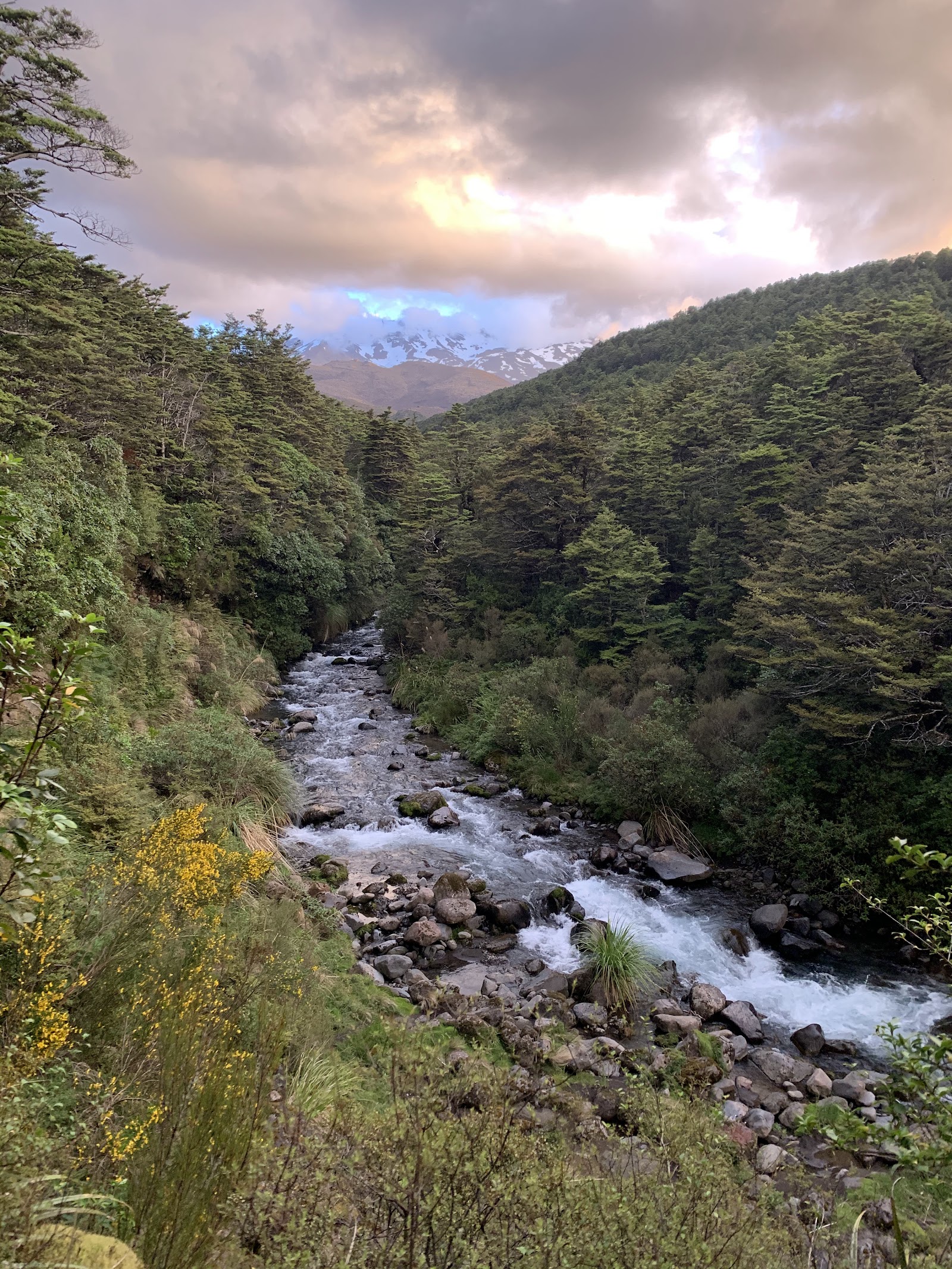 Whakapapa Holiday Park 10