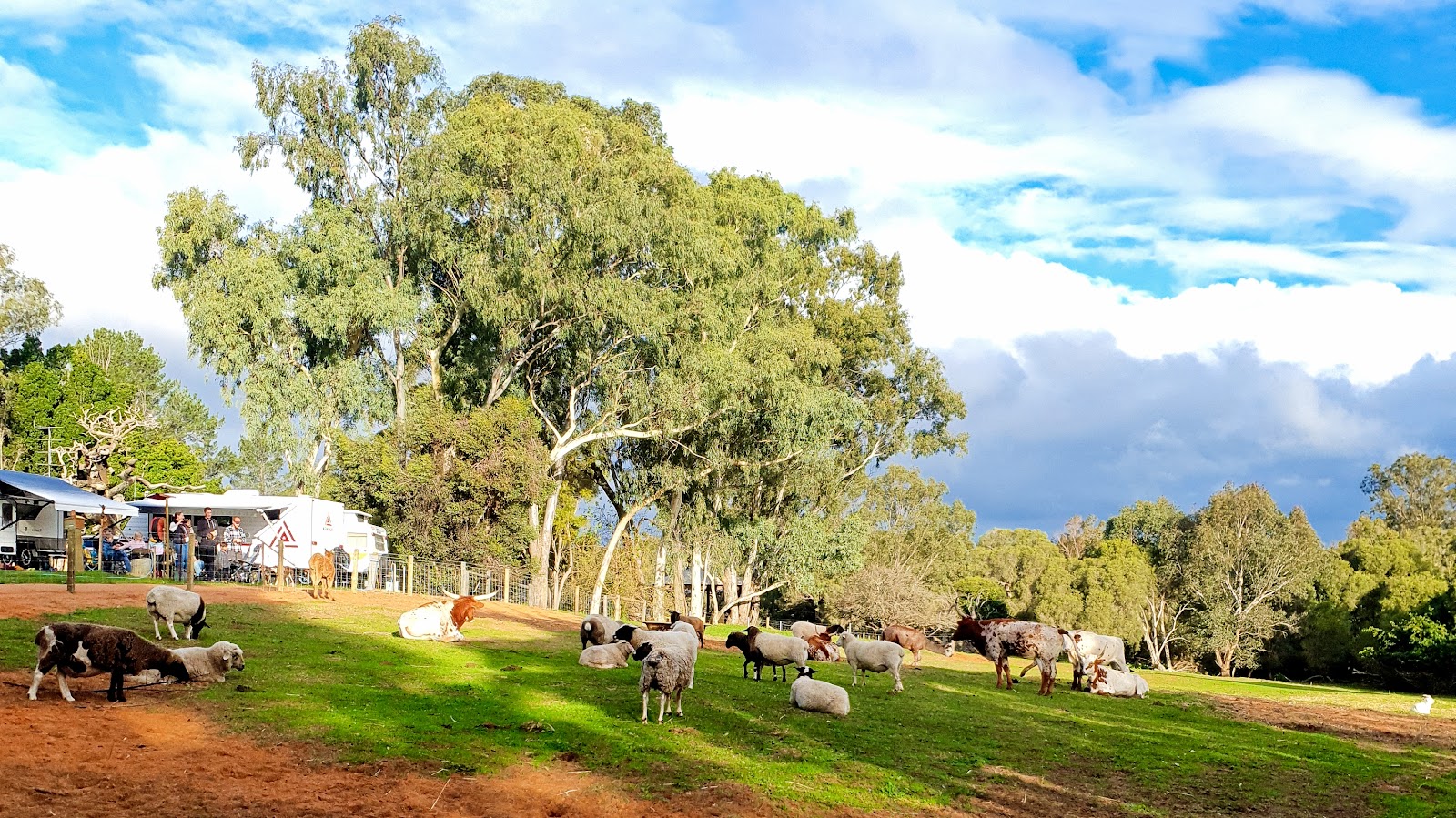 Willowbrook Farm Caravan Park 3
