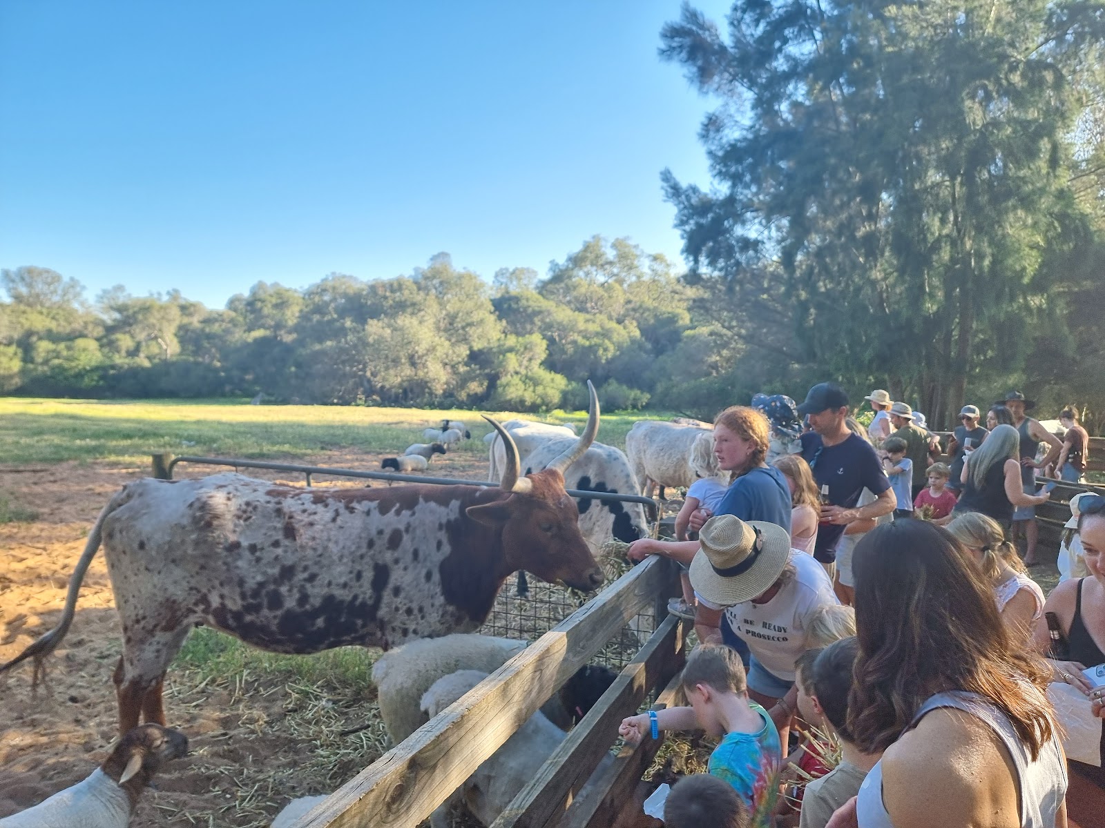 Willowbrook Farm Caravan Park 4